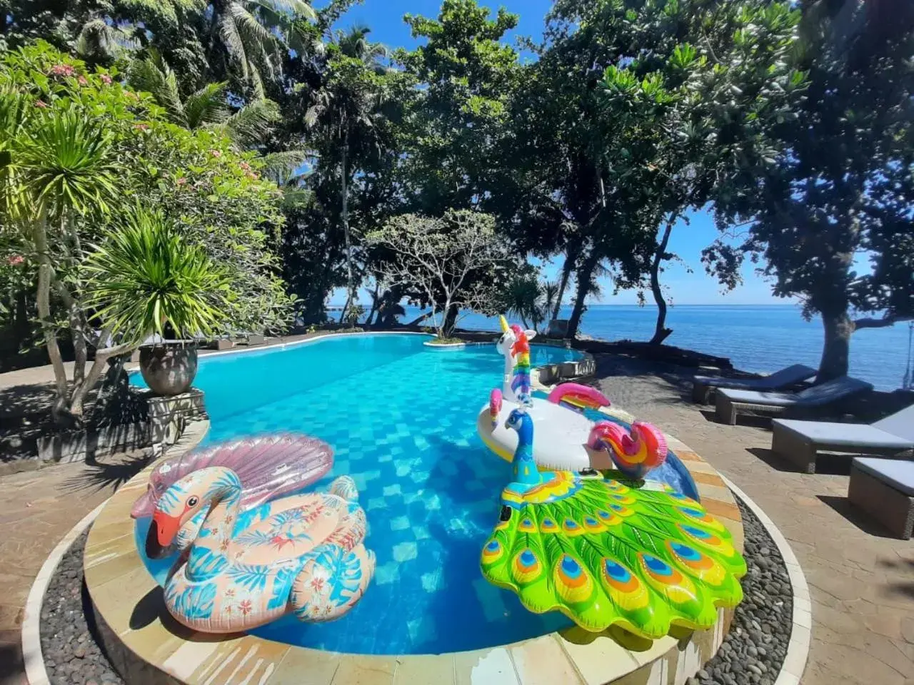 Swimming pool in Murex Dive Resort