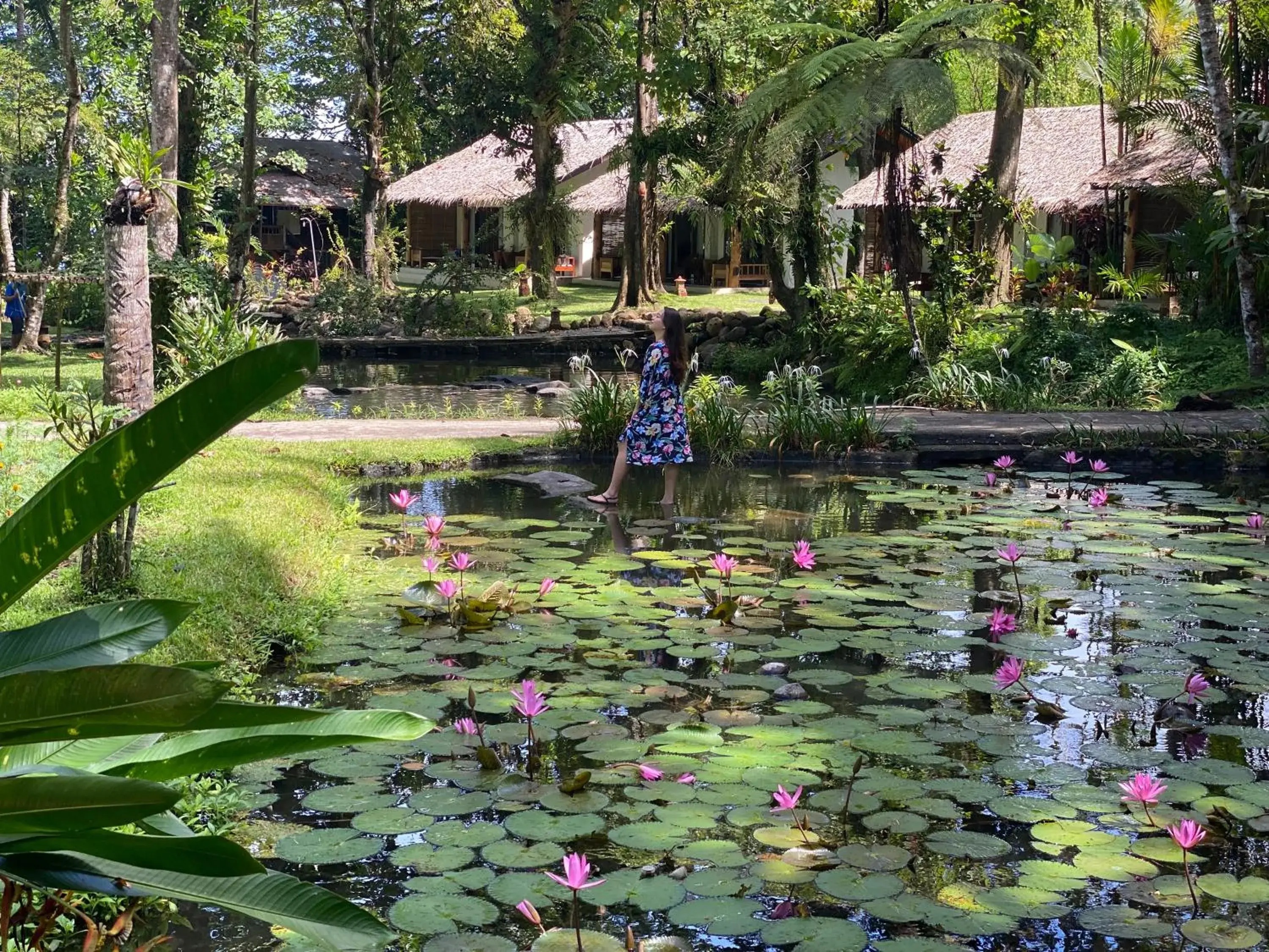 Garden in Murex Dive Resort