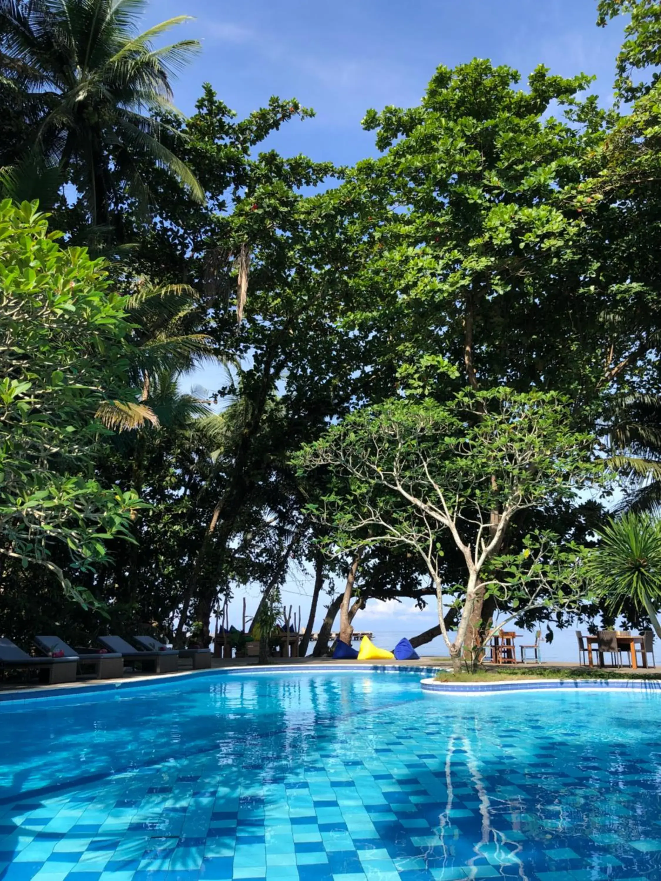 Pool view, Swimming Pool in Murex Dive Resort