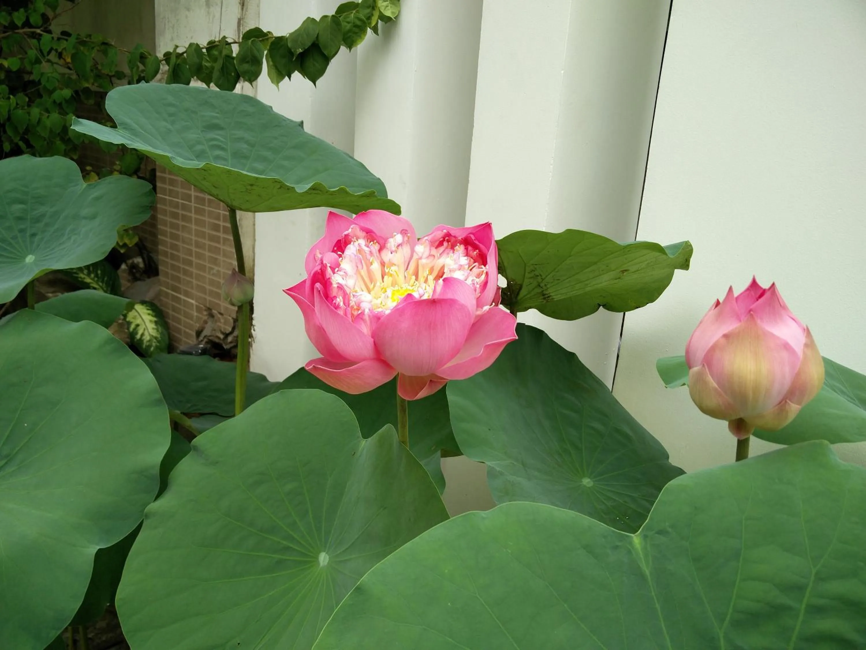 Facade/entrance in Sen Boutique House By 5H