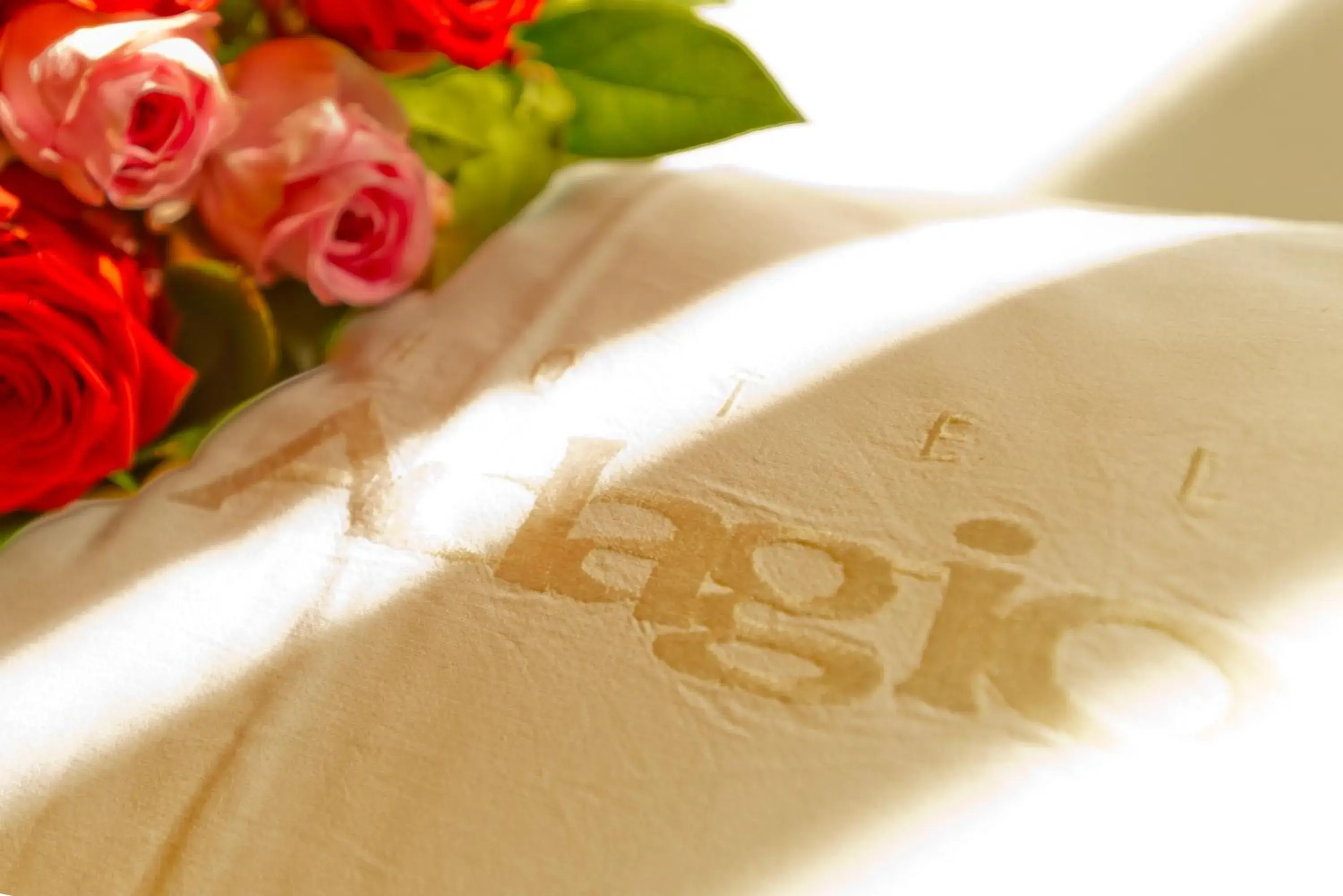 Standard Double Room with Bath or Shower - single occupancy in Hotel Adagio Standard Double Room with Bath or Shower - single occupancy in Hotel Adagio