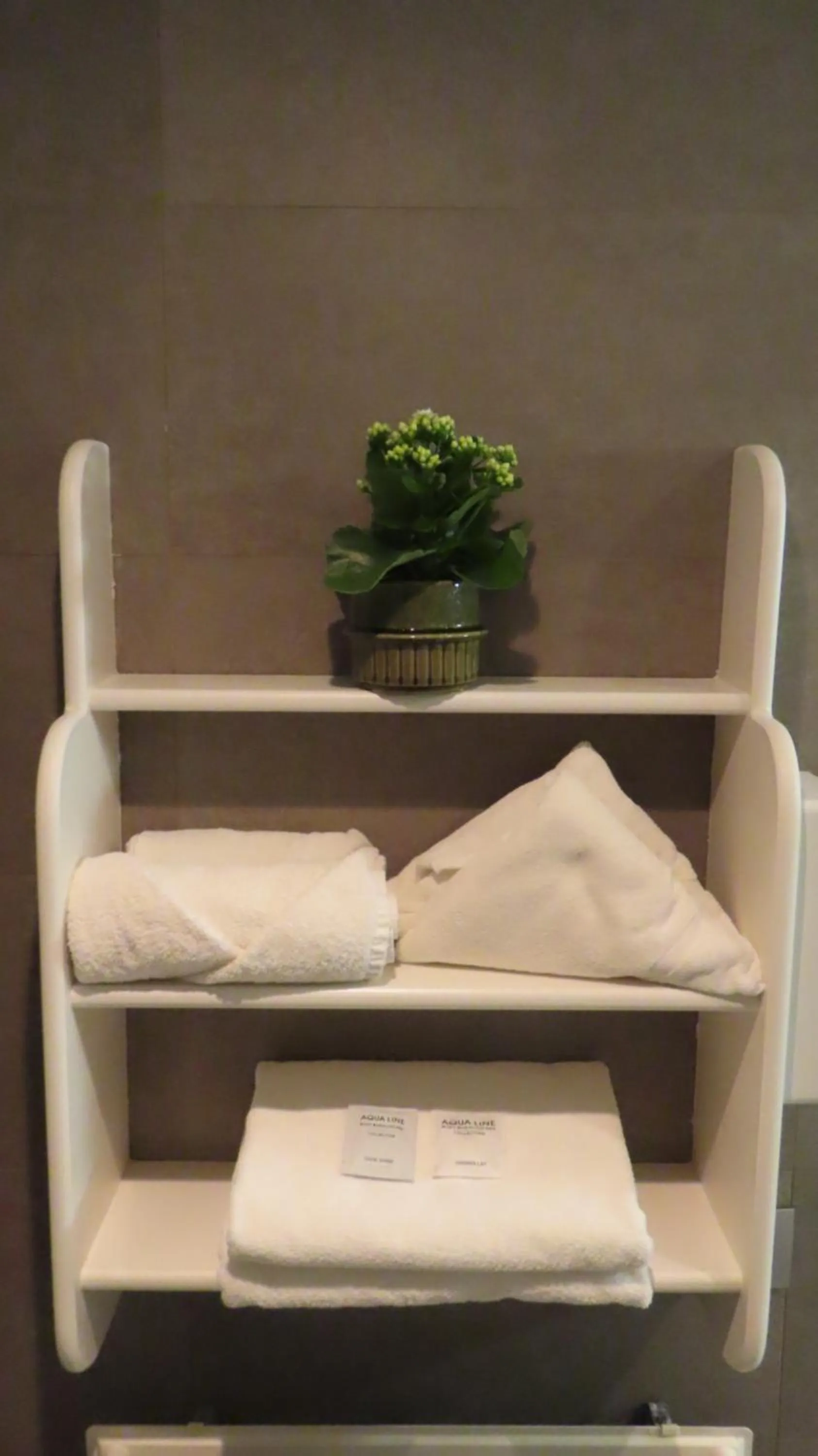 Bathroom in Hotel Adagio