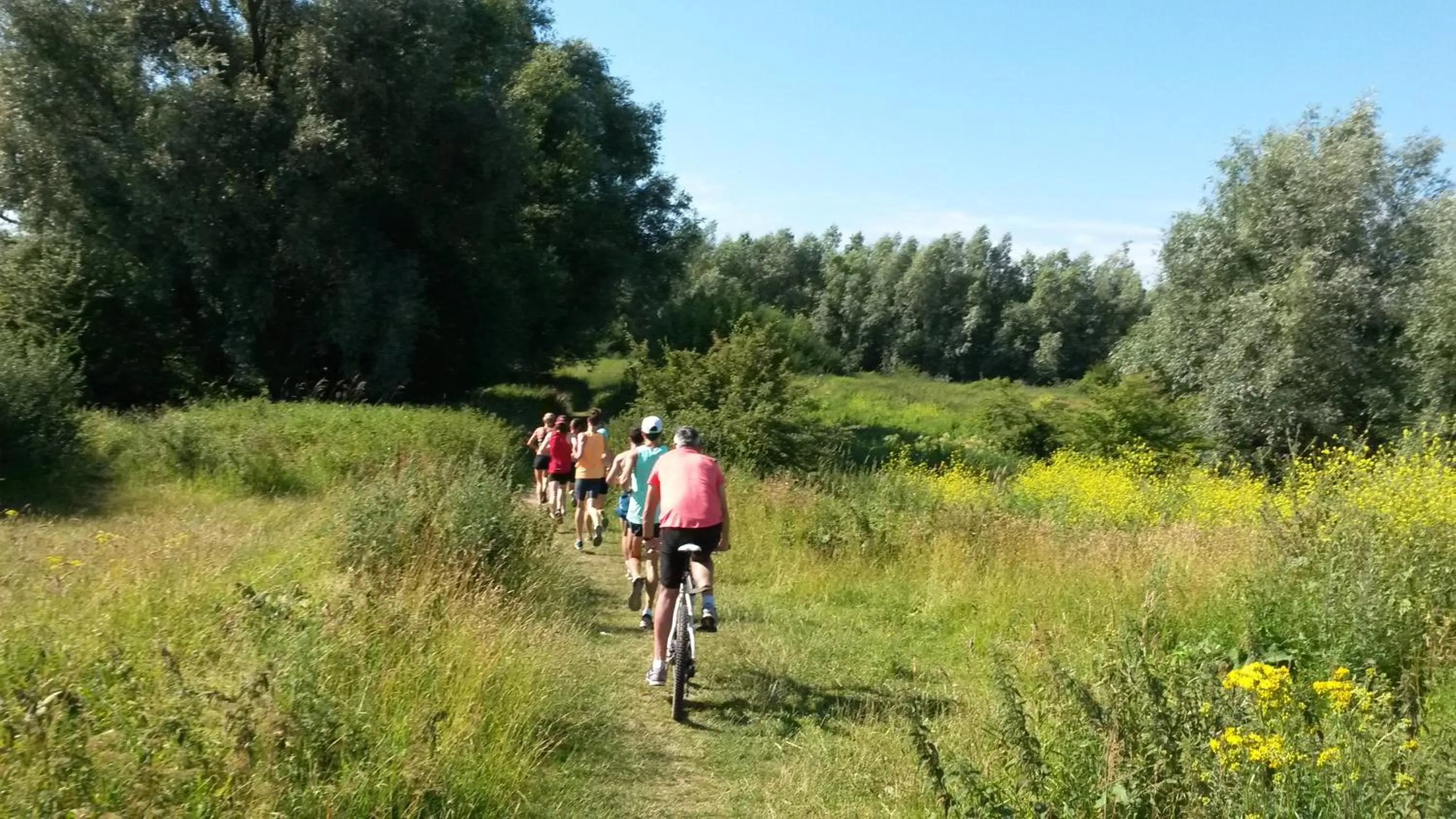 Natural landscape in B&B Stadsoase Nijmegen