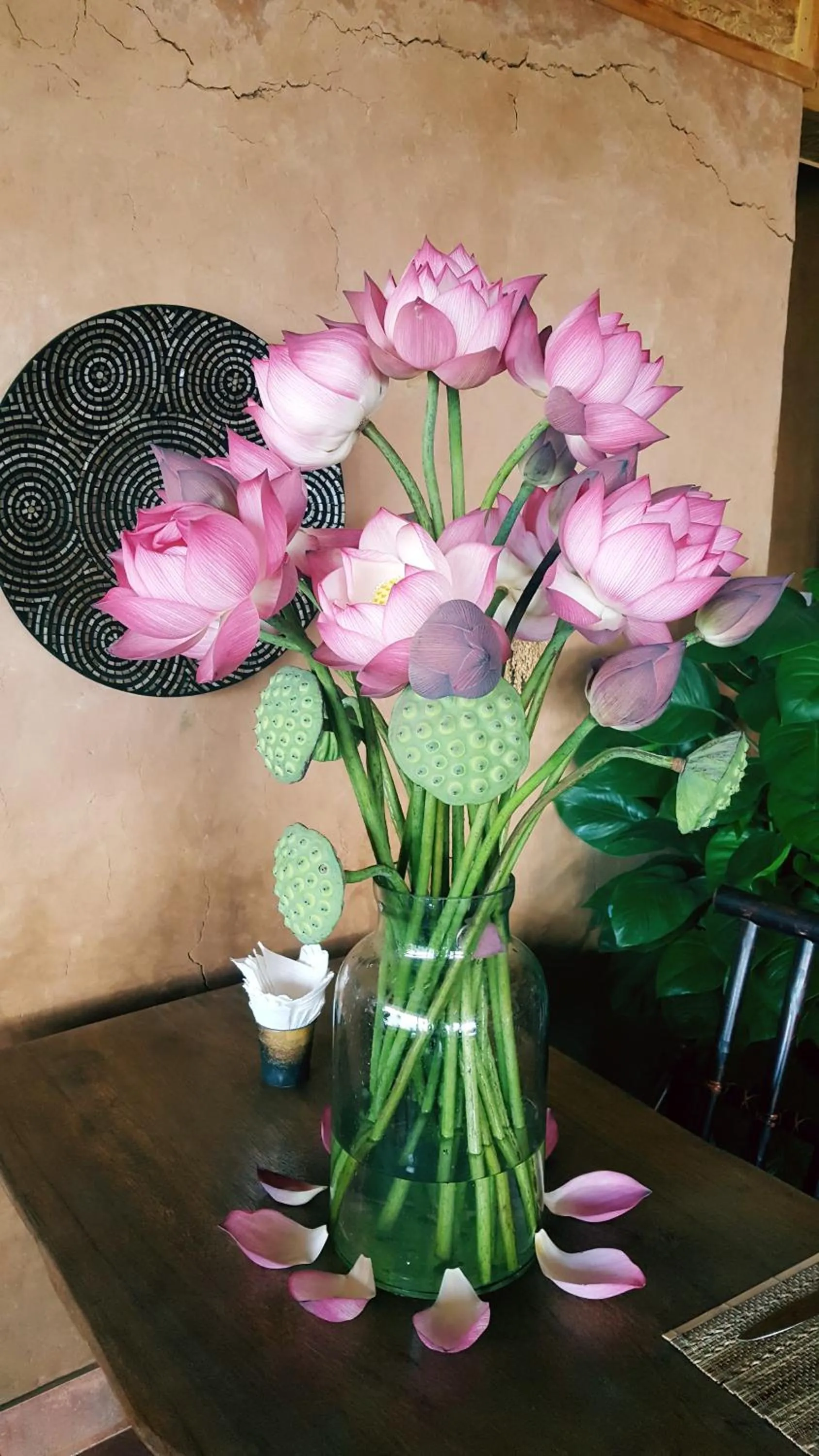 Food and drinks in Sapa Clay House - Mountain Retreat