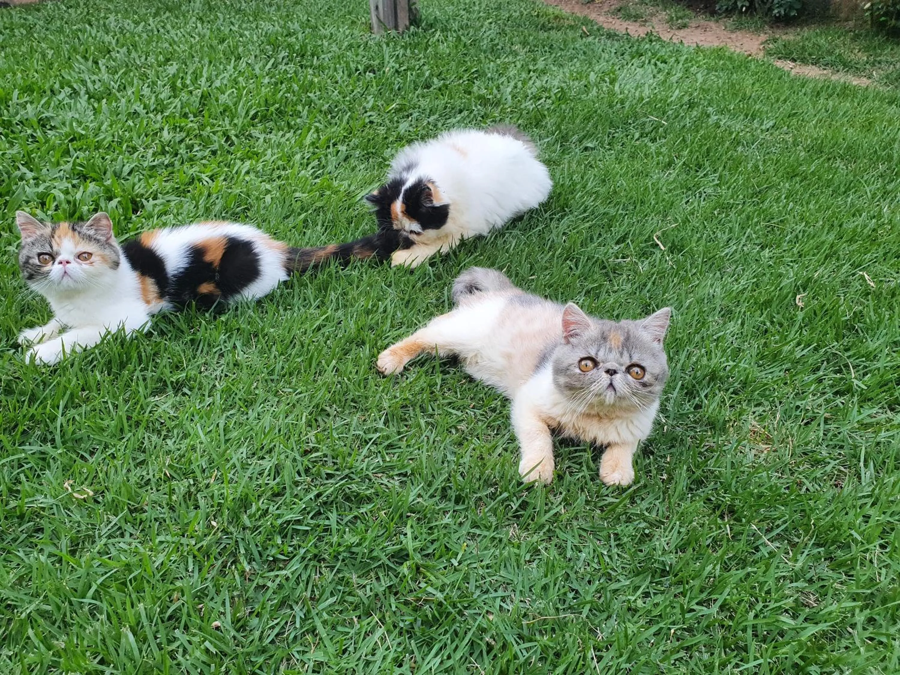 Pousada Paraiso