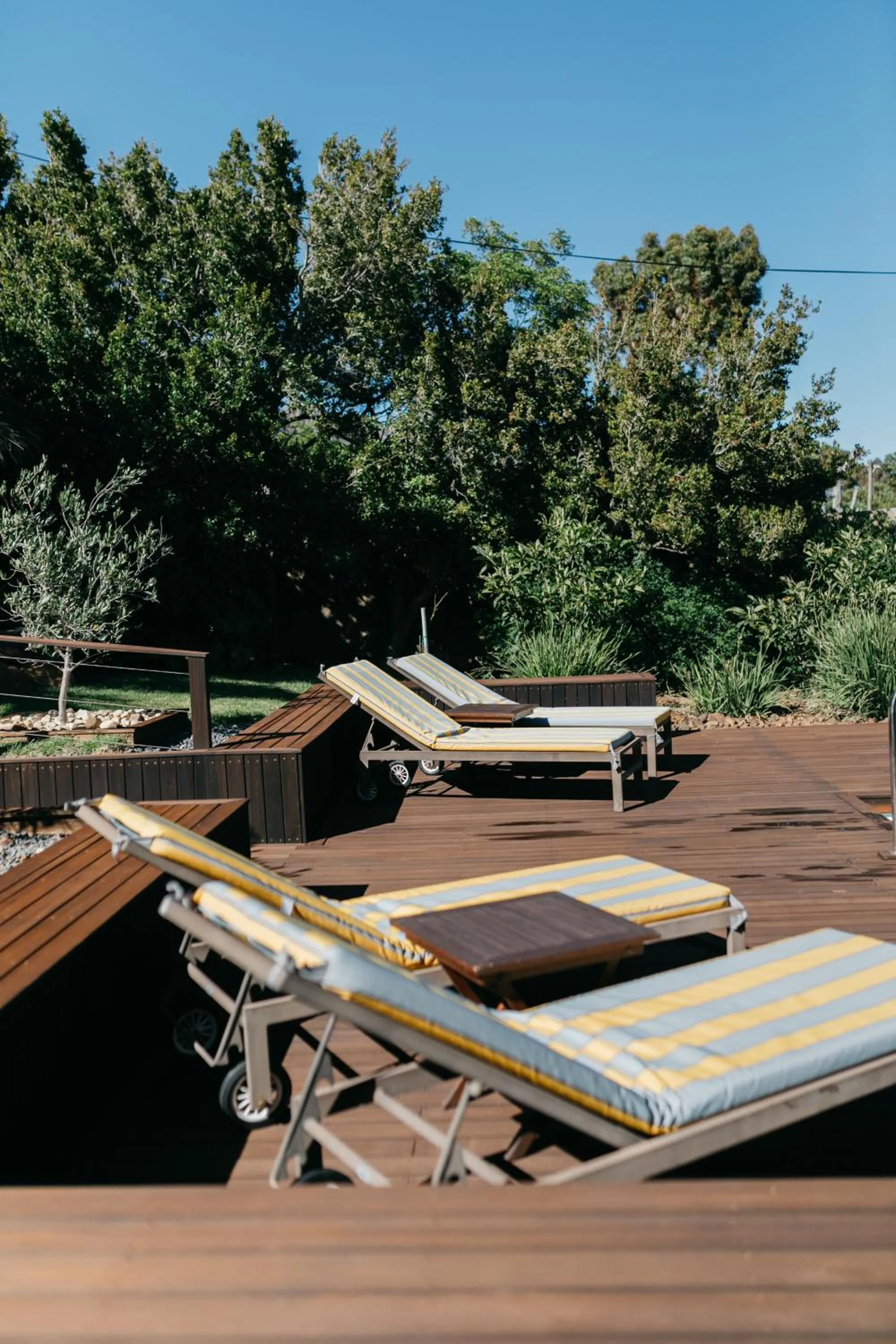 Swimming pool in Bloemenzee Boutique B&B