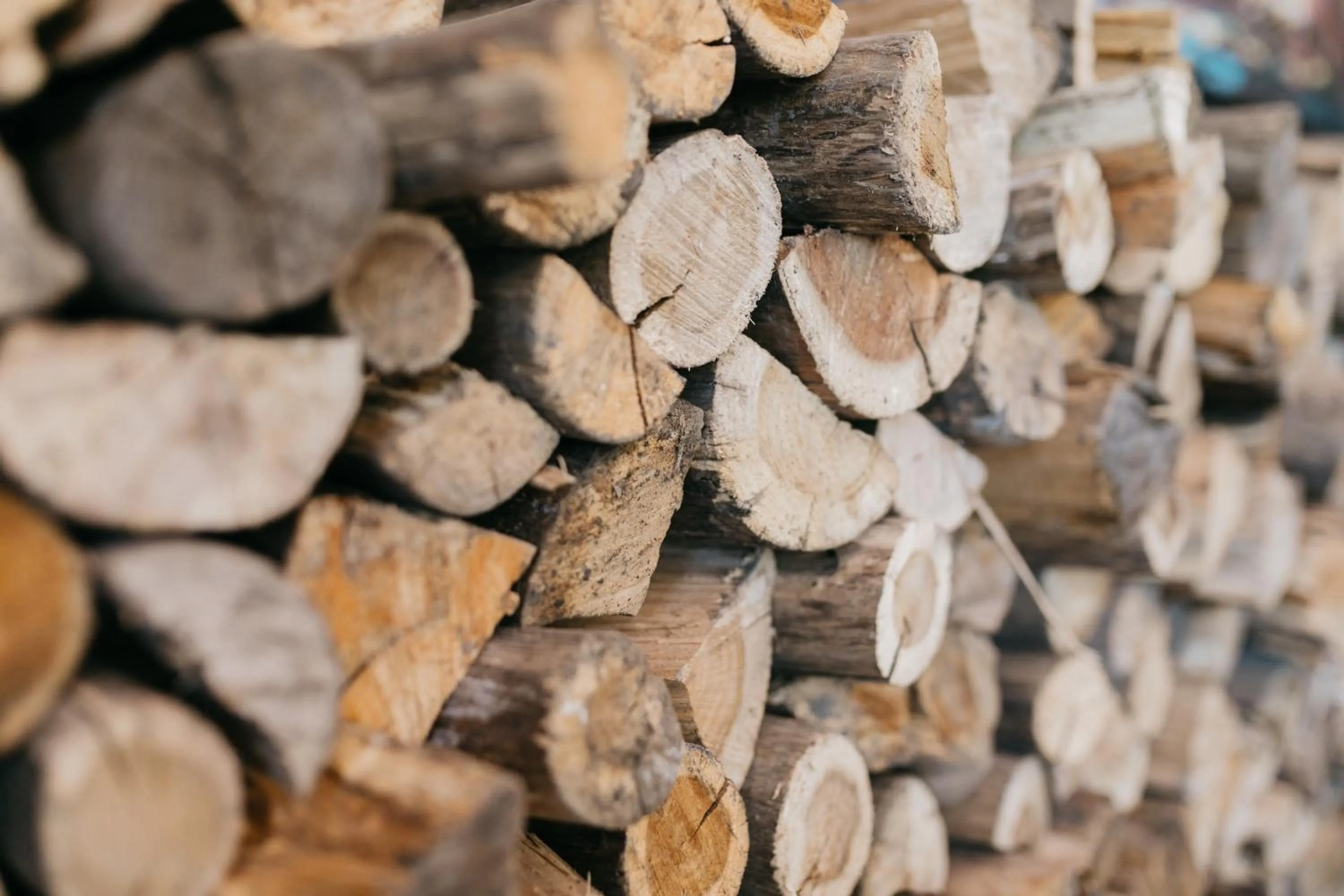 Property building in Bloemenzee Boutique B&B