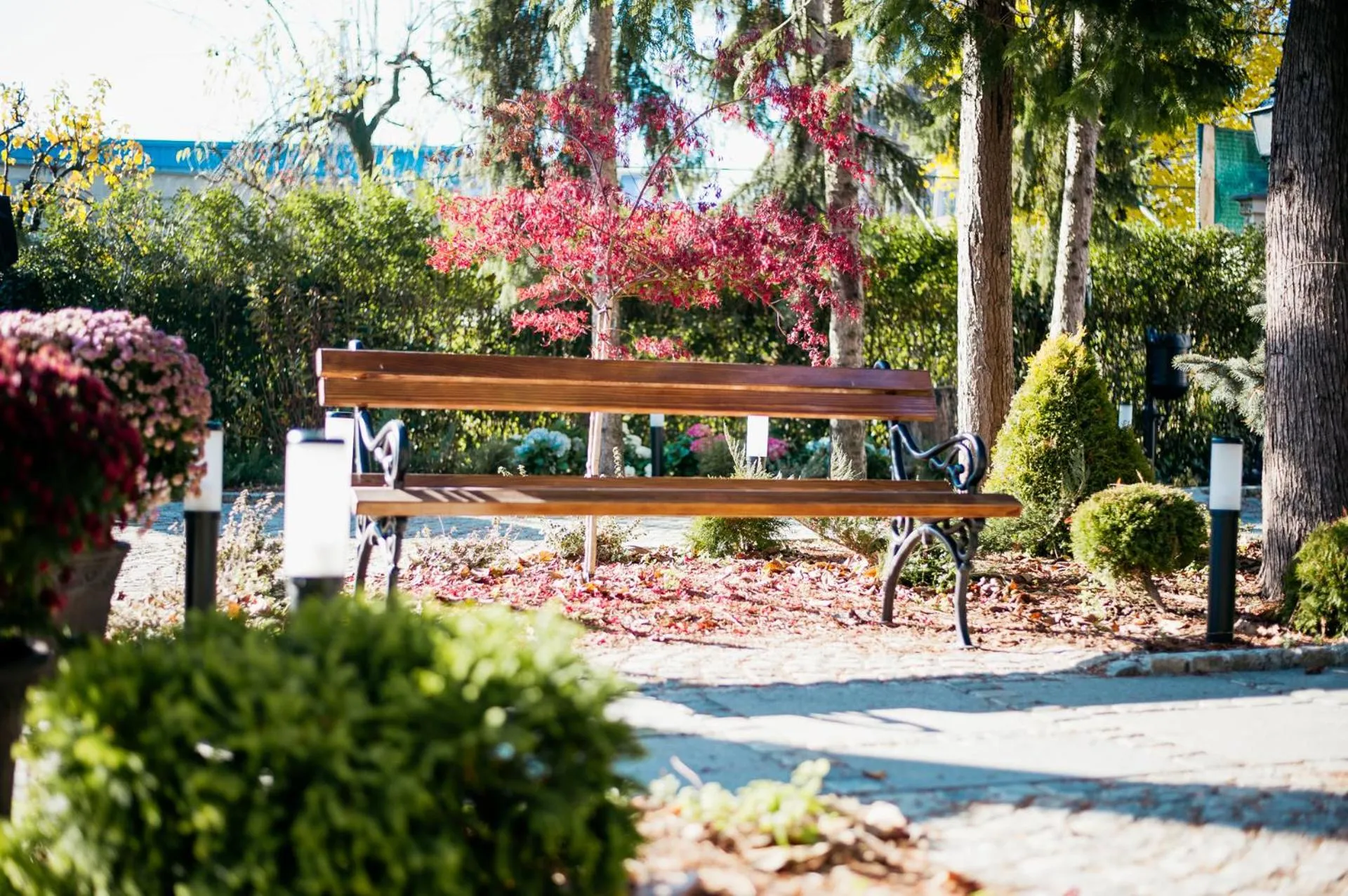 Garden in Sundial Boutique Hotel