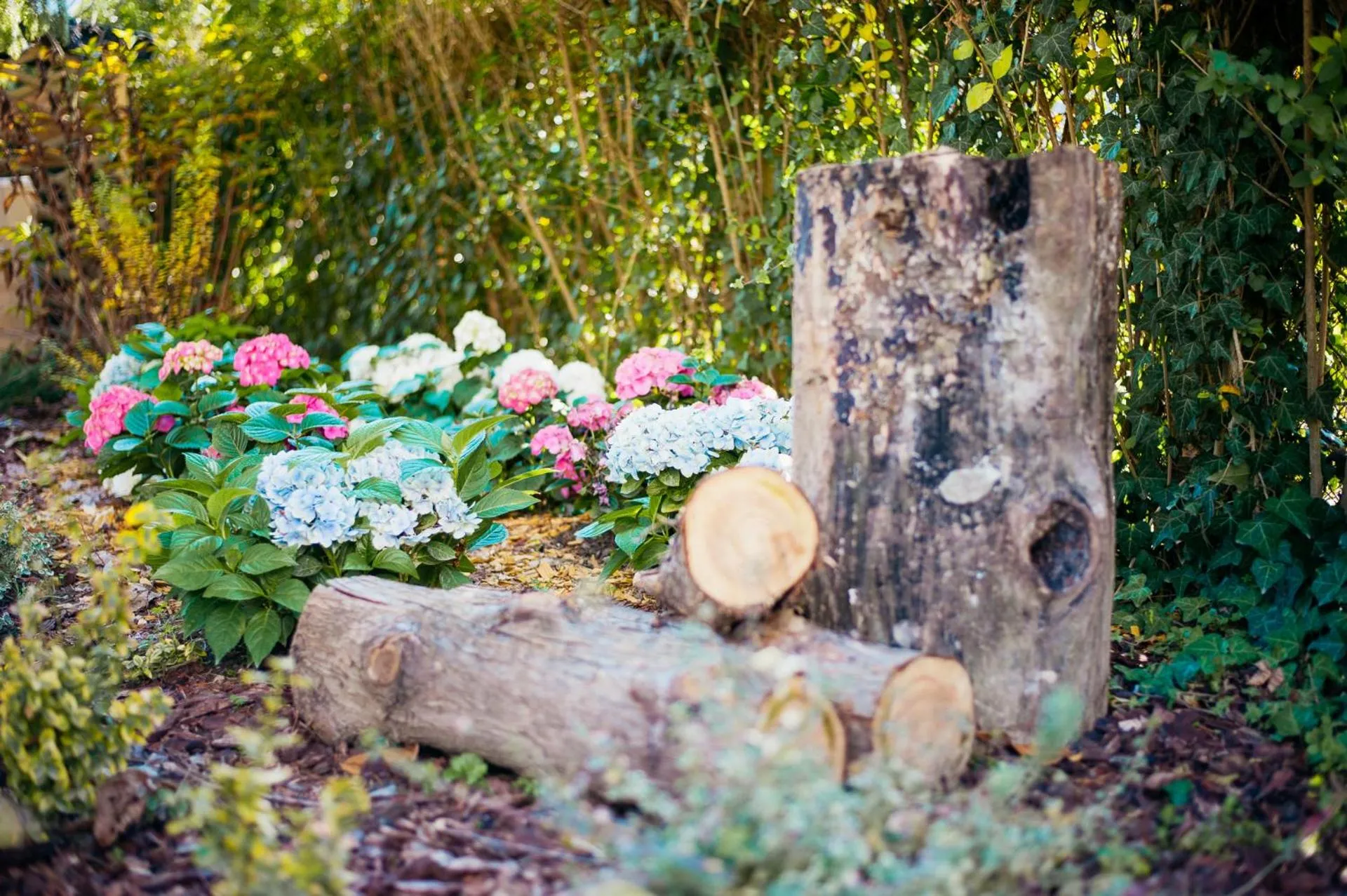Garden in Sundial Boutique Hotel