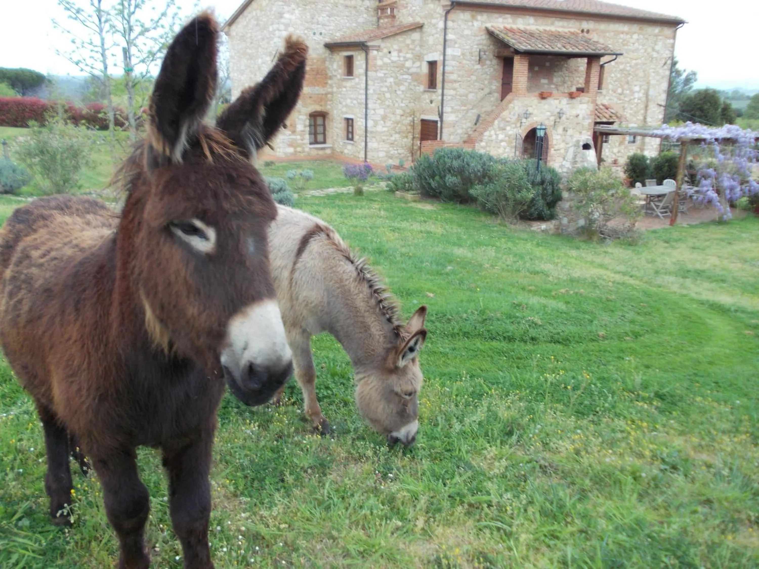 Property building in Le Pergoline B&B