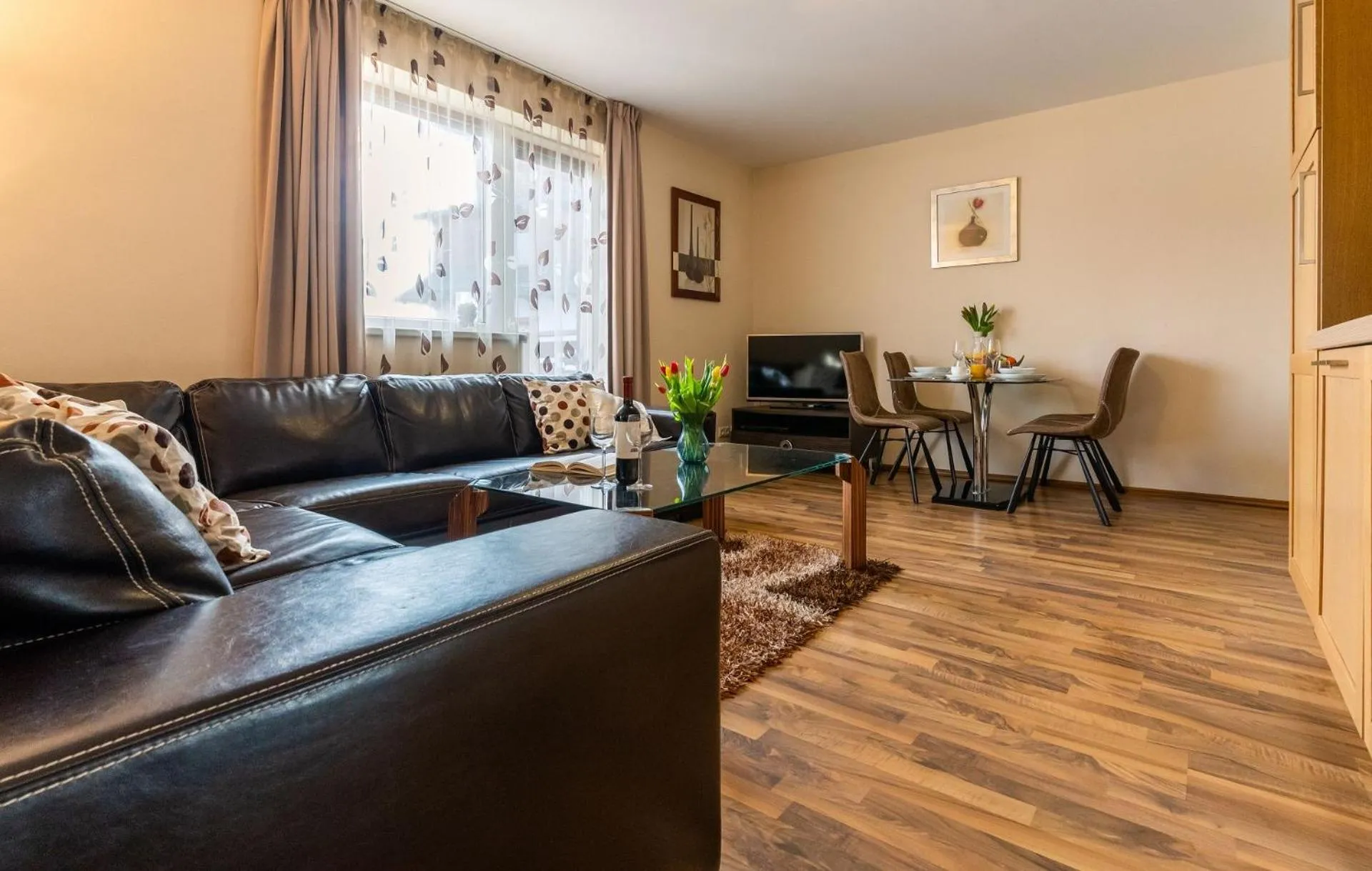 Central Apartment