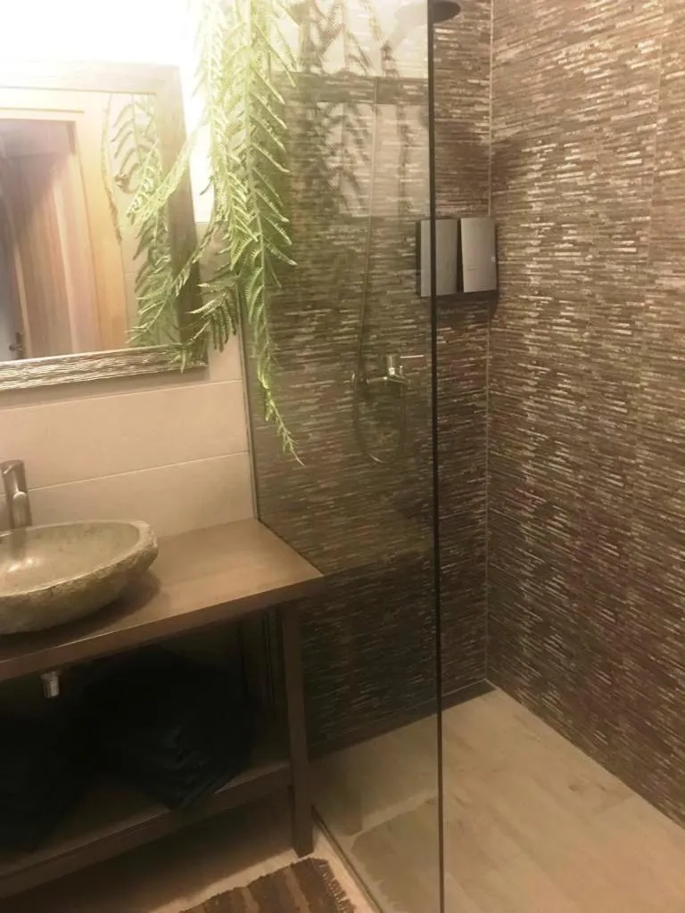 Shower in Park Apartments