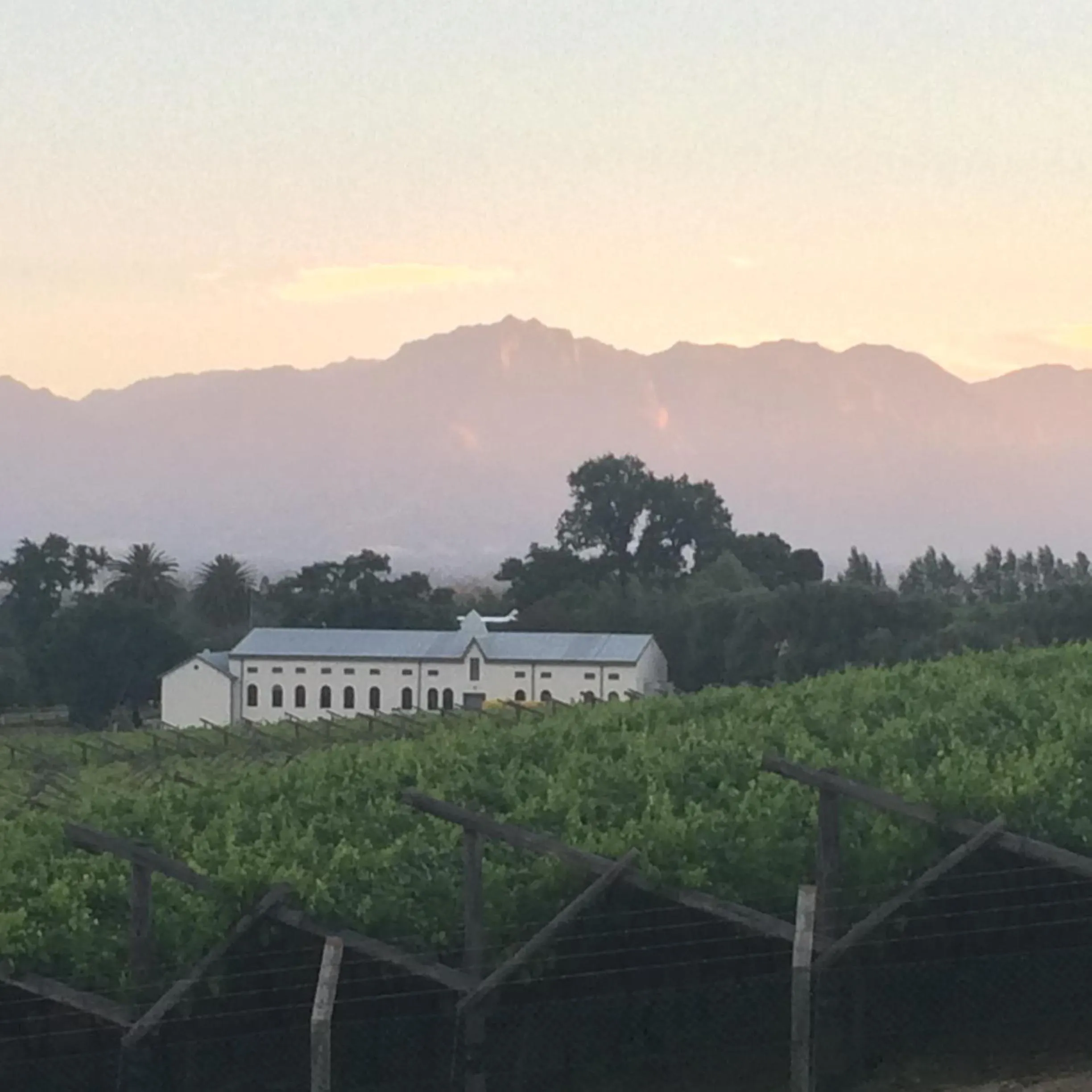 Neighbourhood in Paarl Mountain Lodge