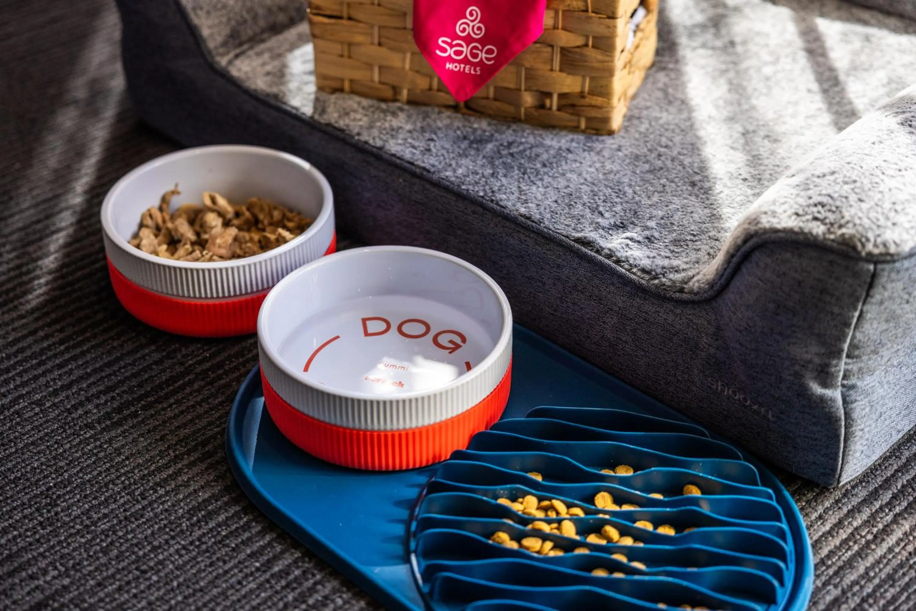 Pets in Sage Hotel James Street