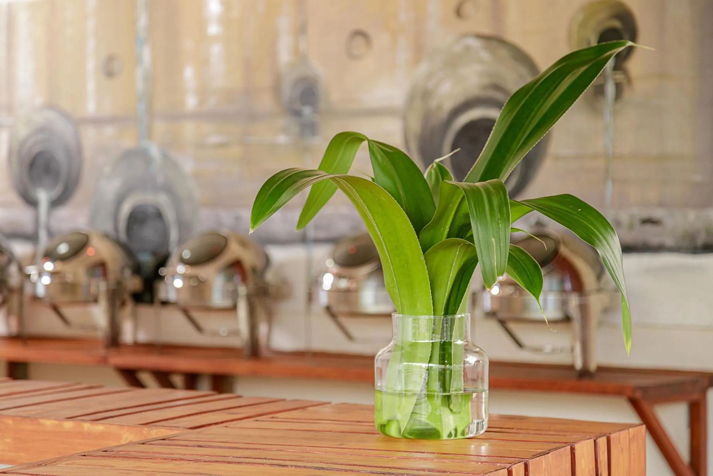 Restaurant/places to eat in The Vinorva Maldives