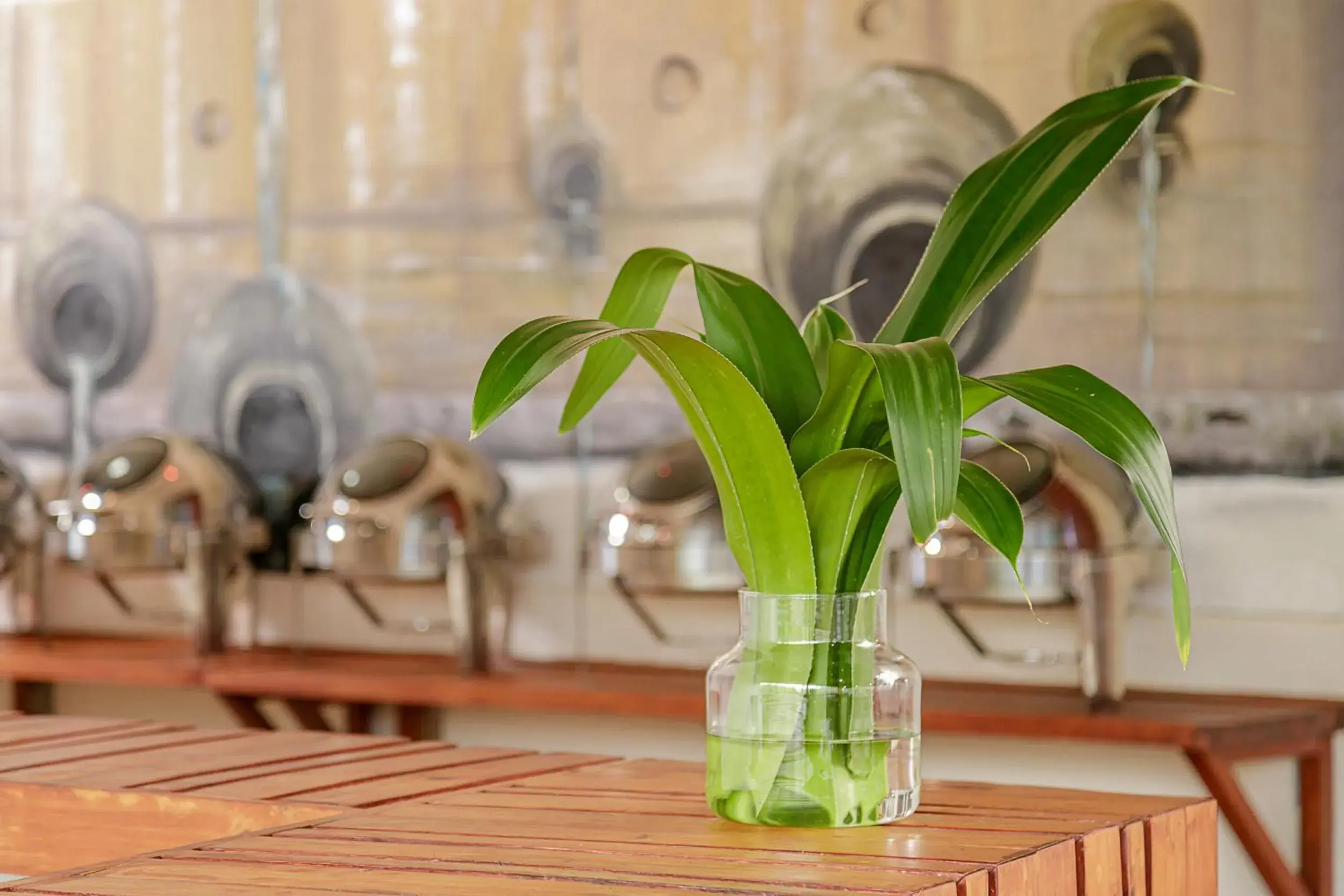 Restaurant/places to eat in The Vinorva Maldives Restaurant/places to eat in The Vinorva Maldives