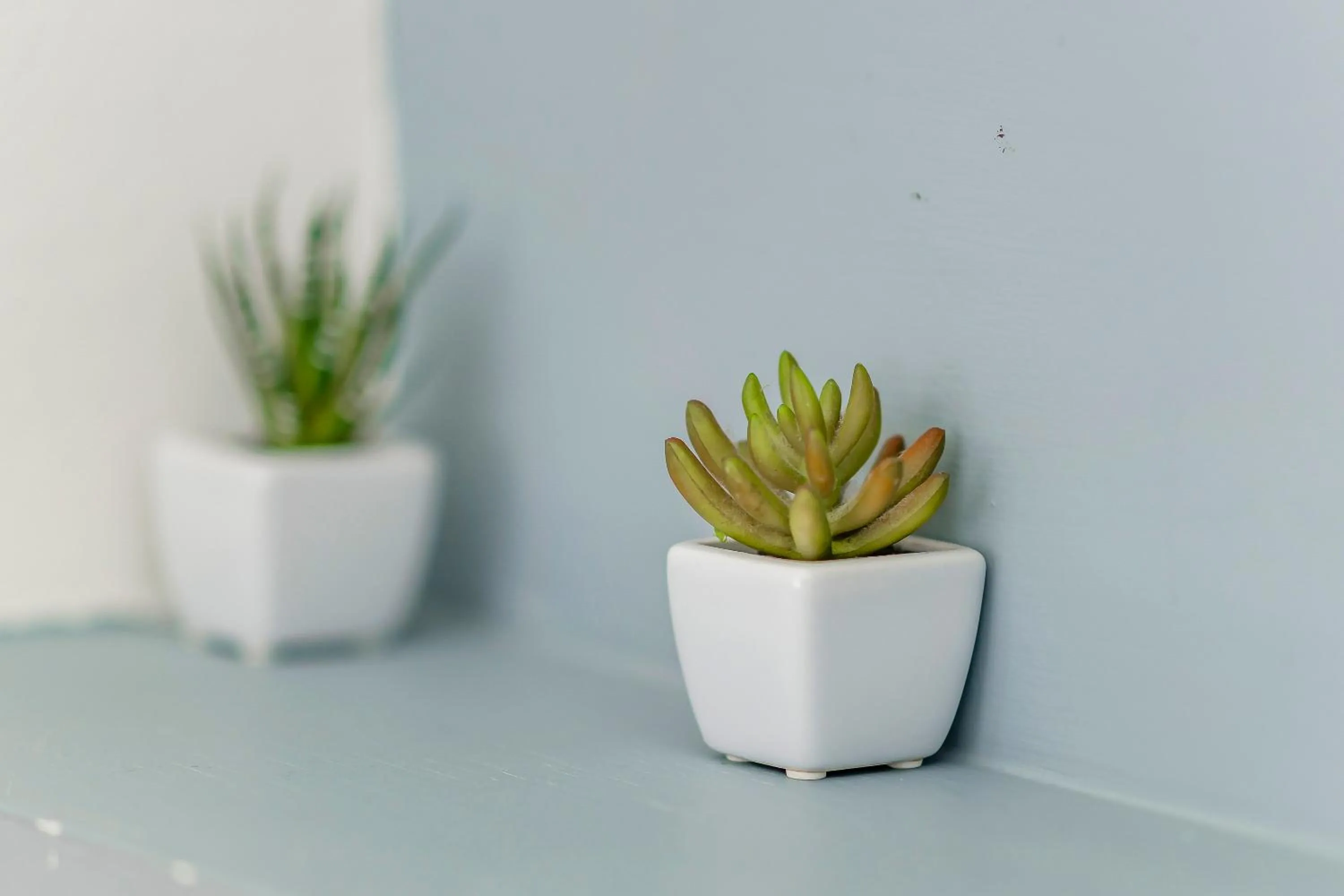 Decorative detail in Bo Ya Homestay