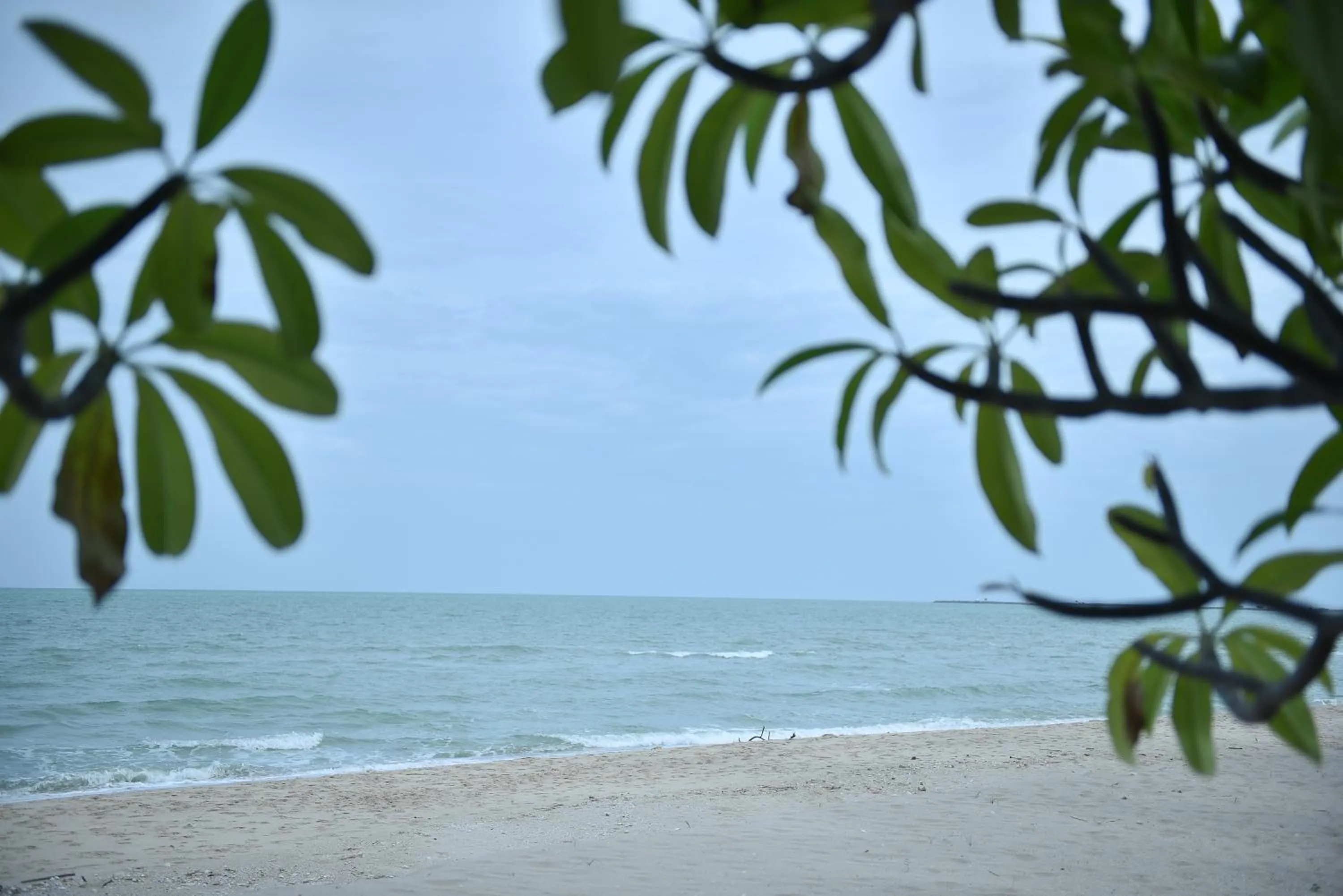 Natural landscape in Dar's Haven Cha-Am