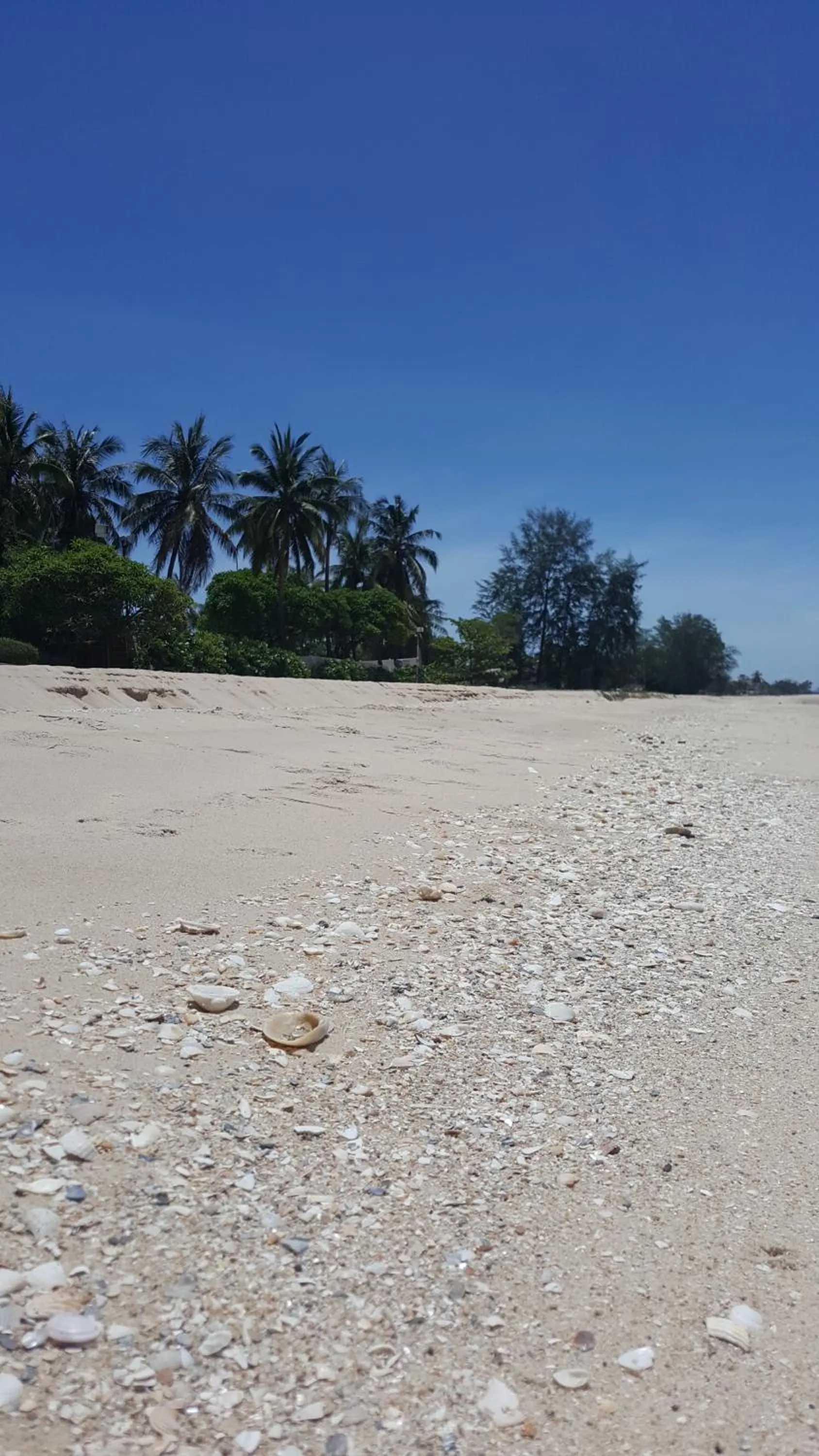 Beach in Dar's Haven Cha-Am