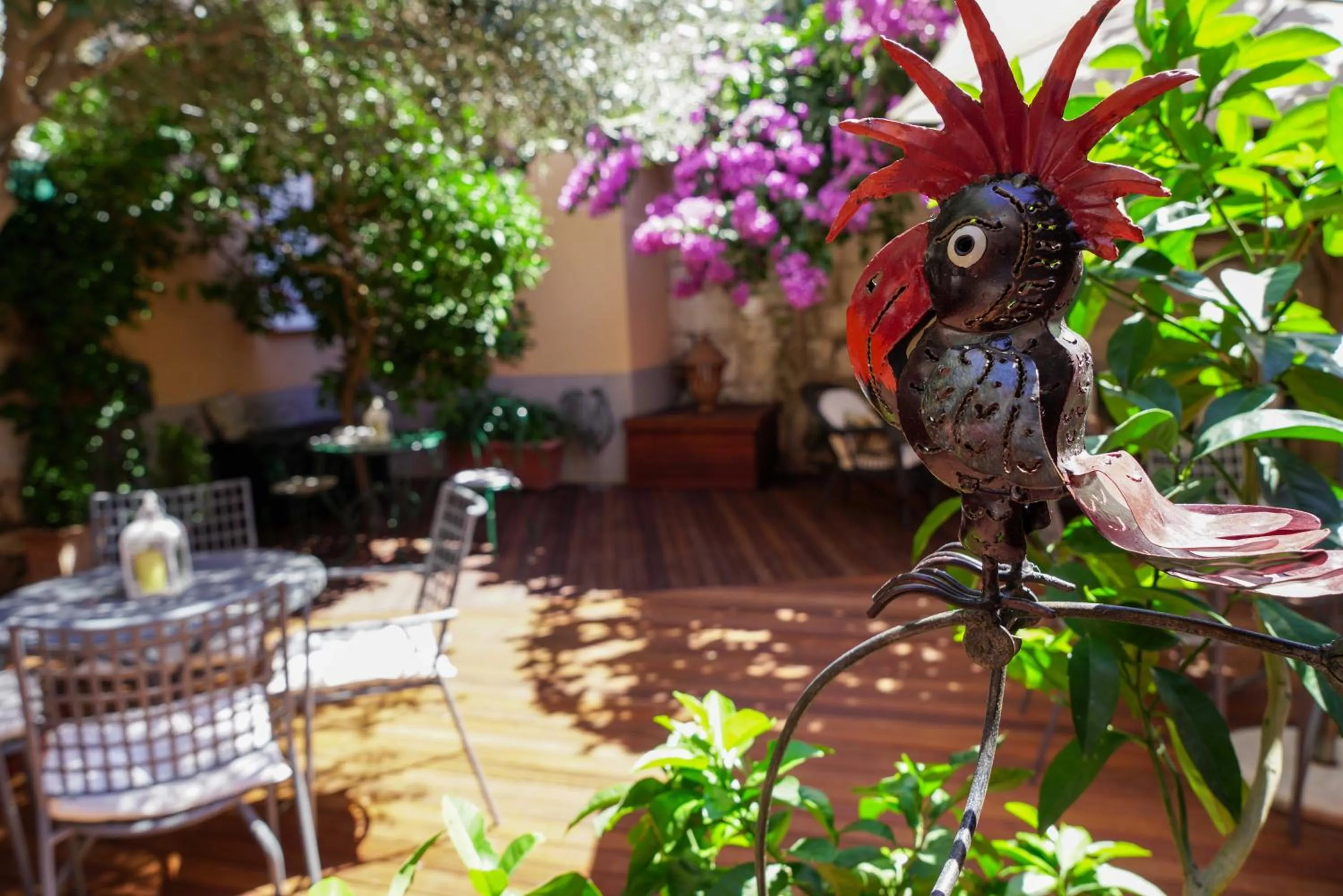 Garden in Boutique Guest Accommodation Zephyrus