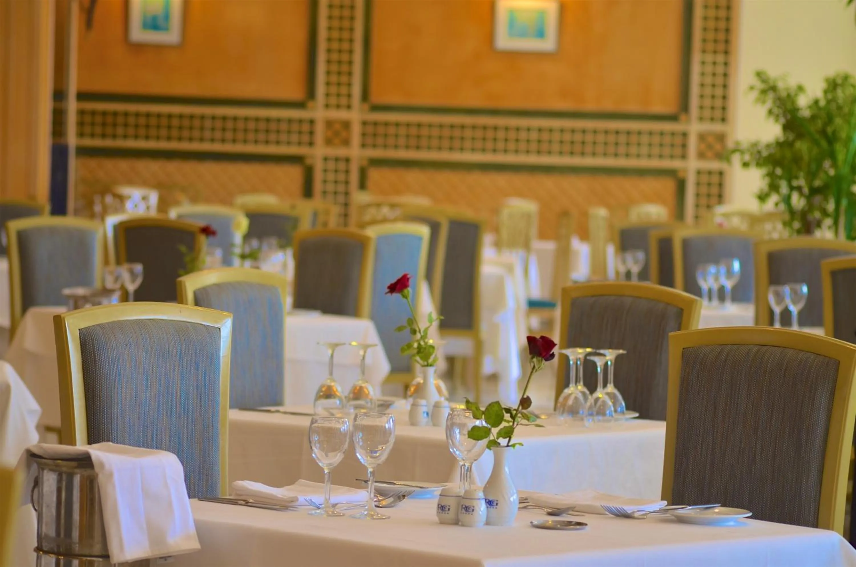 Restaurant/places to eat in Royal Garden Palace - Families and Couples