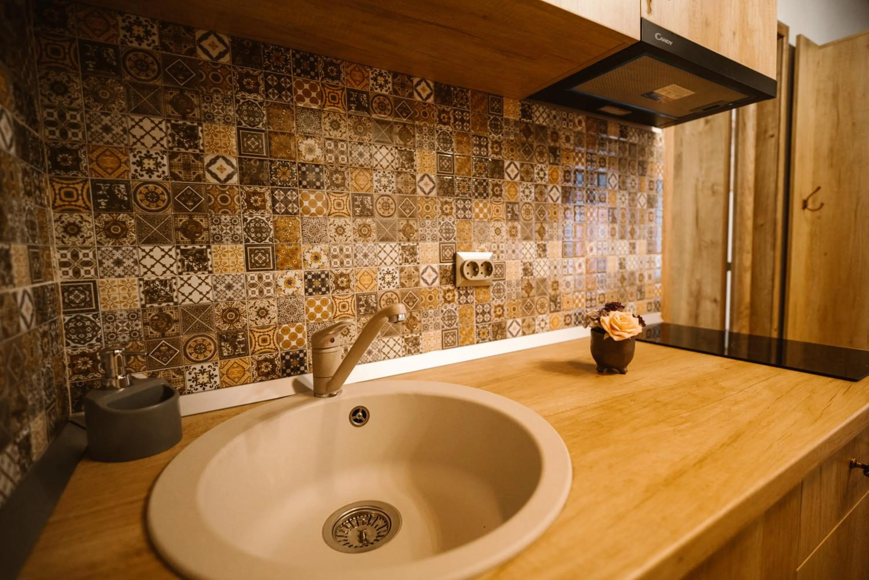 kitchen in Hermannstadt House