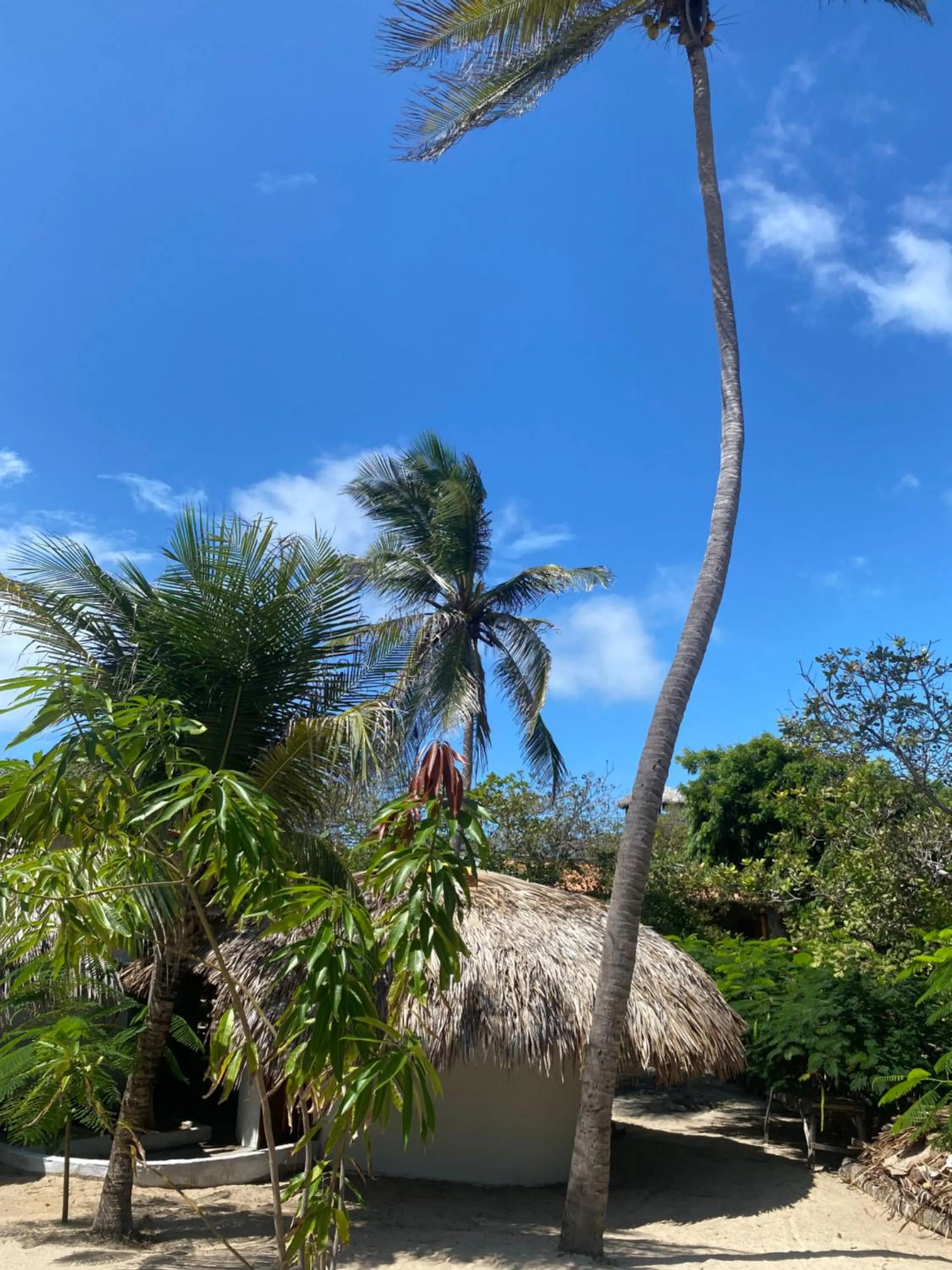 Property building in Casa Acquamarina