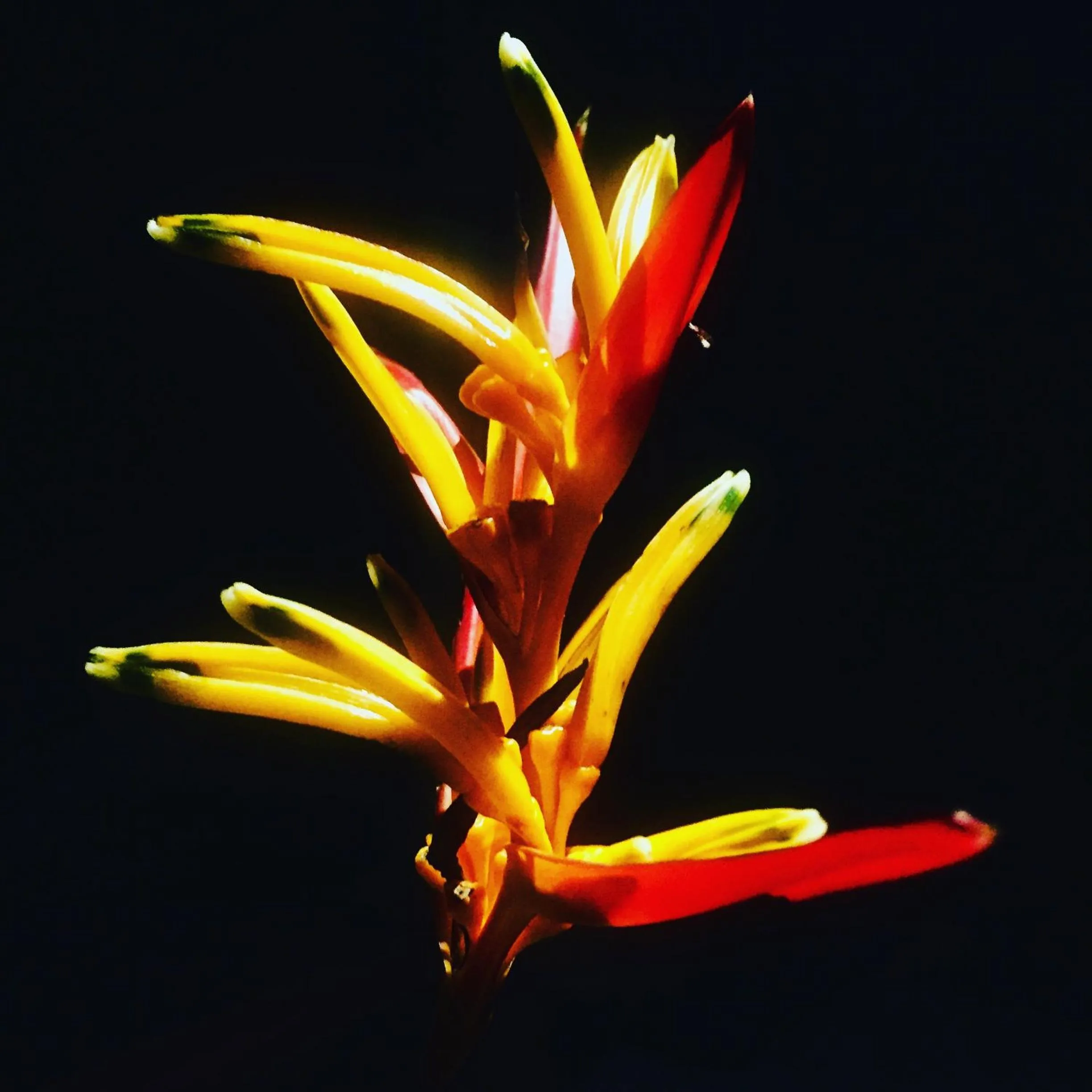 Decorative detail in Casa Acquamarina
