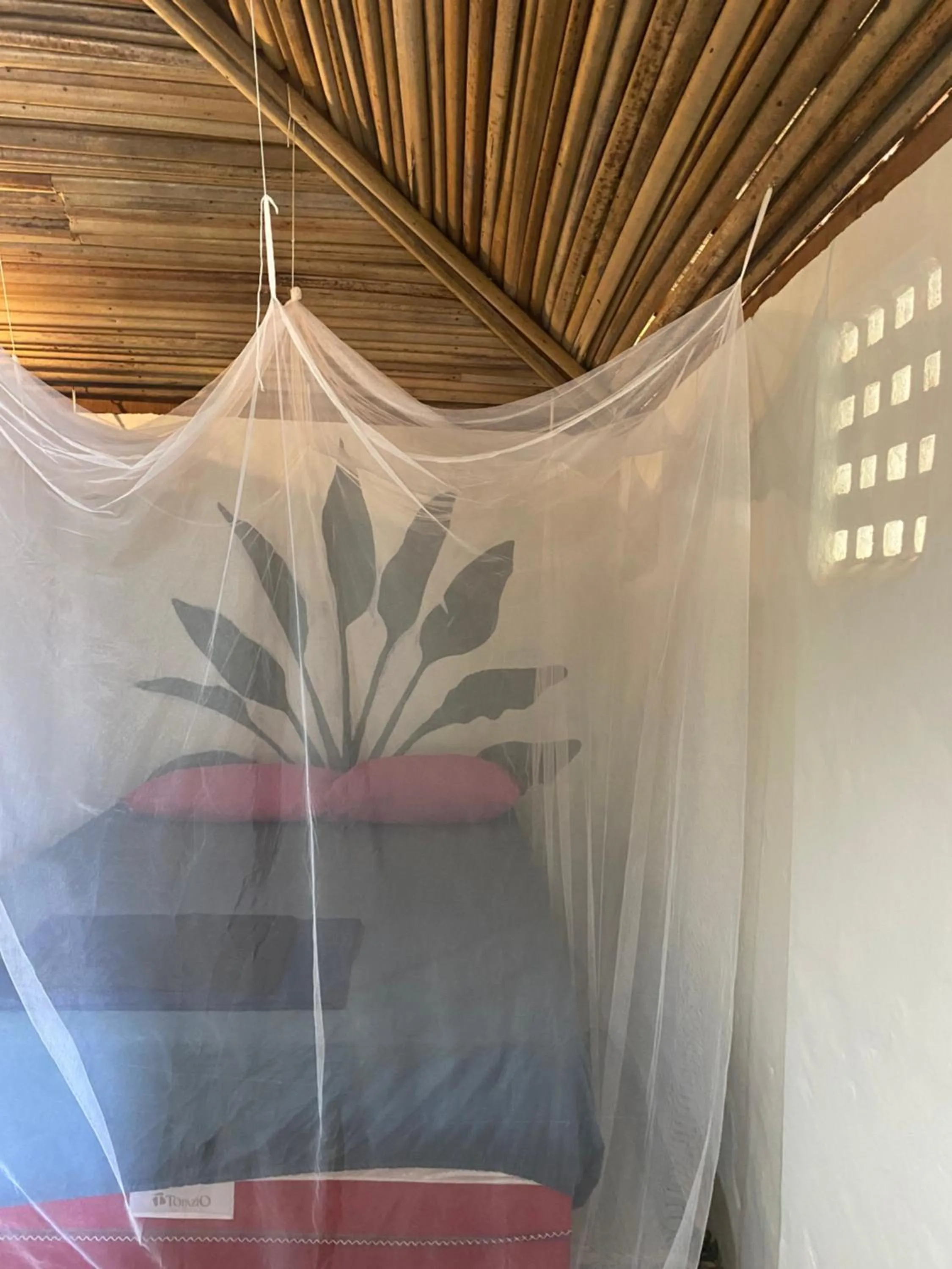 Double Room with Garden View - single occupancy in Casa Acquamarina