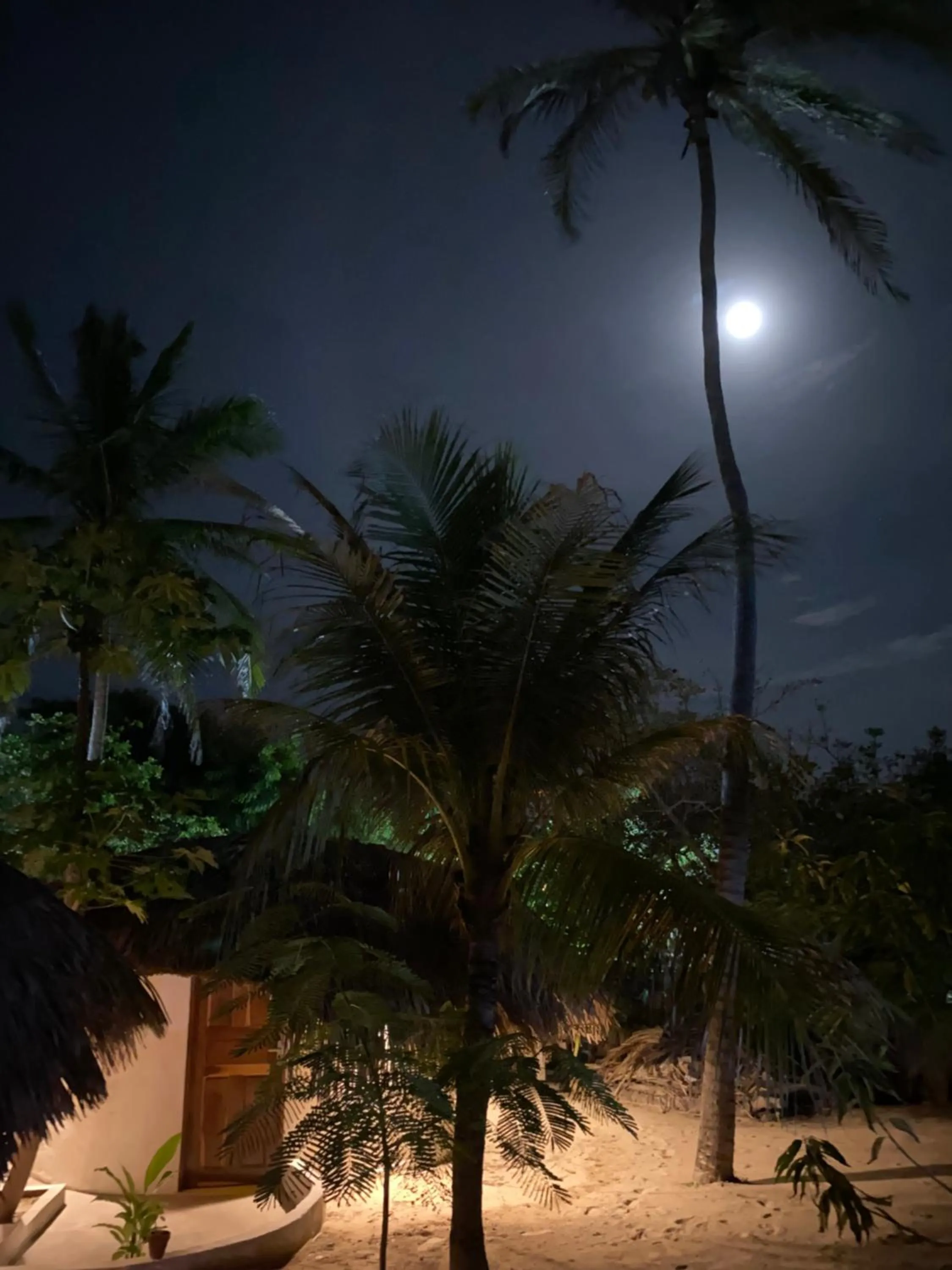 Property building in Casa Acquamarina