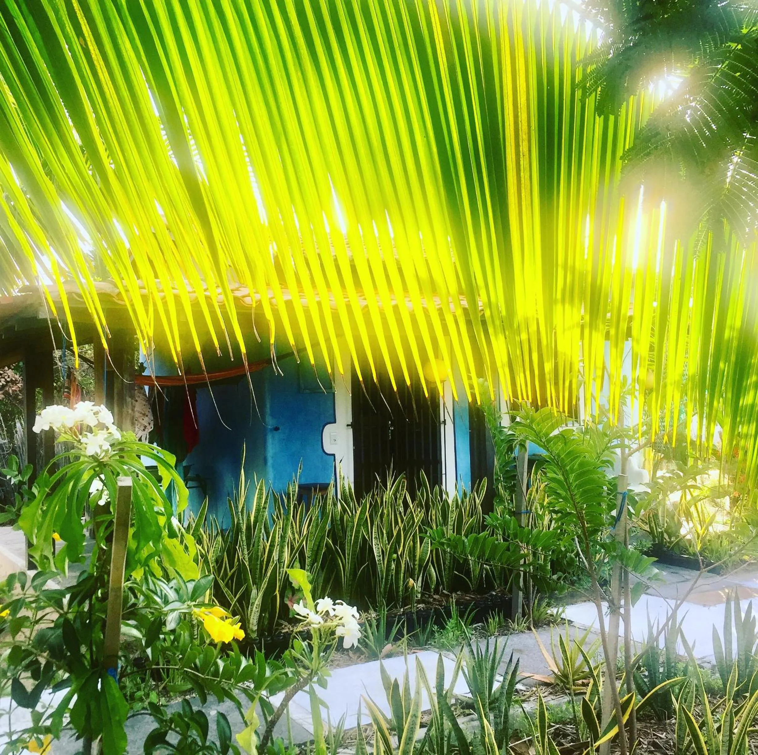 Facade/entrance in Casa Acquamarina