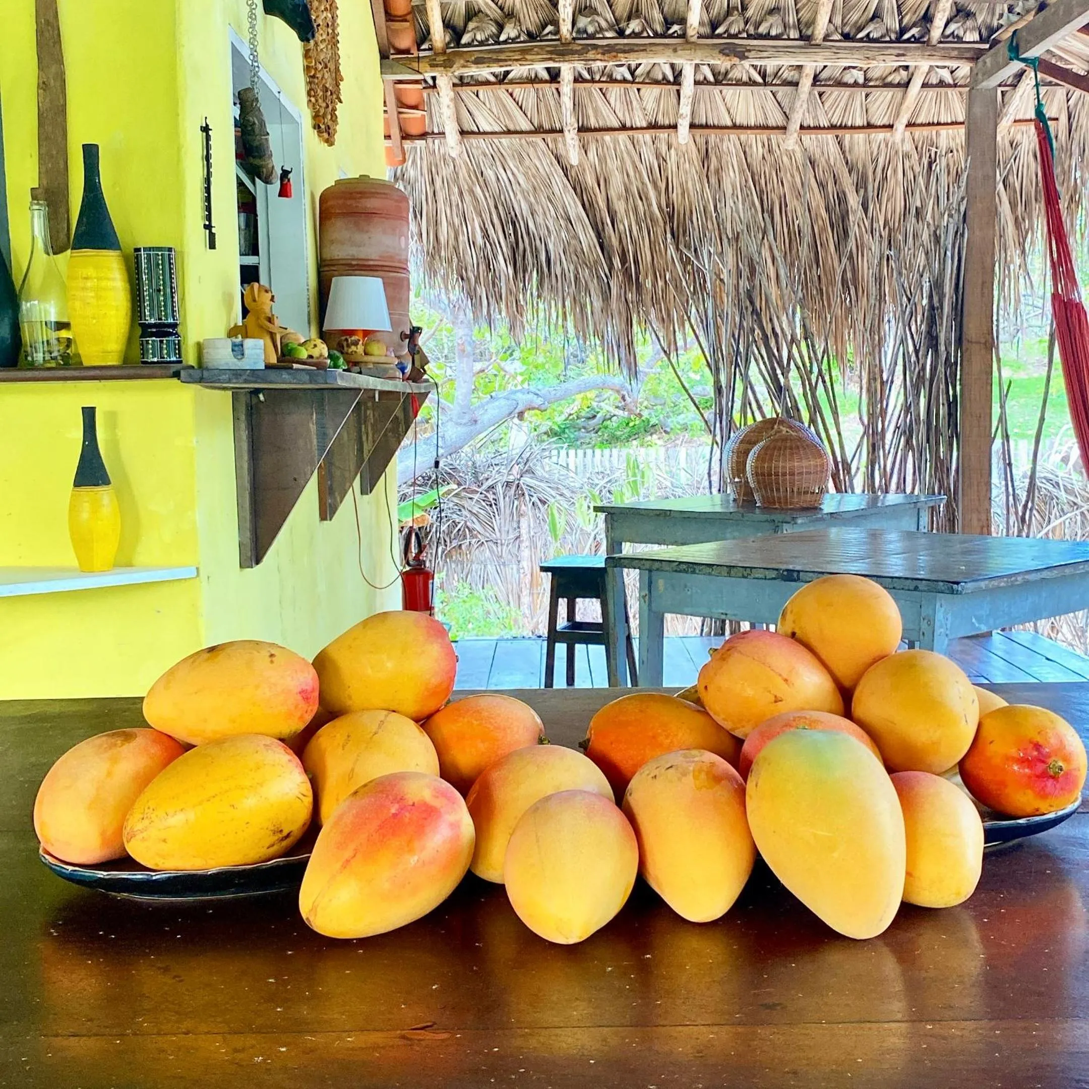 Food and drinks in Casa Acquamarina