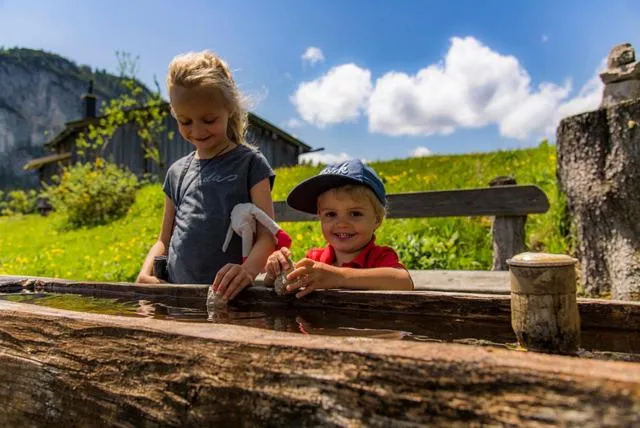 Hiking in Ferienwohnungen Wartbichler