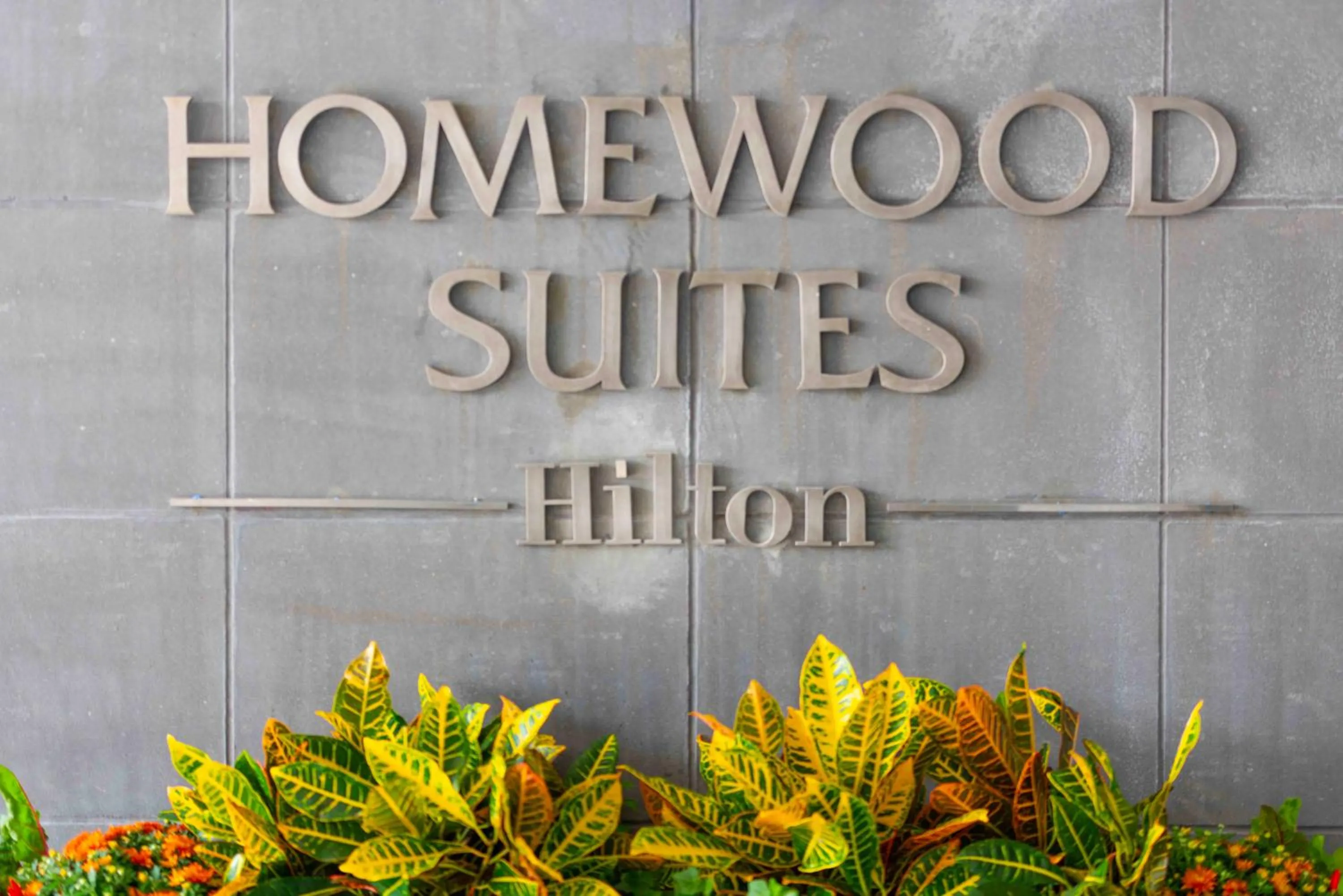Logo/Certificate/Sign in Homewood Suites By Hilton Boston Logan Airport Chelsea