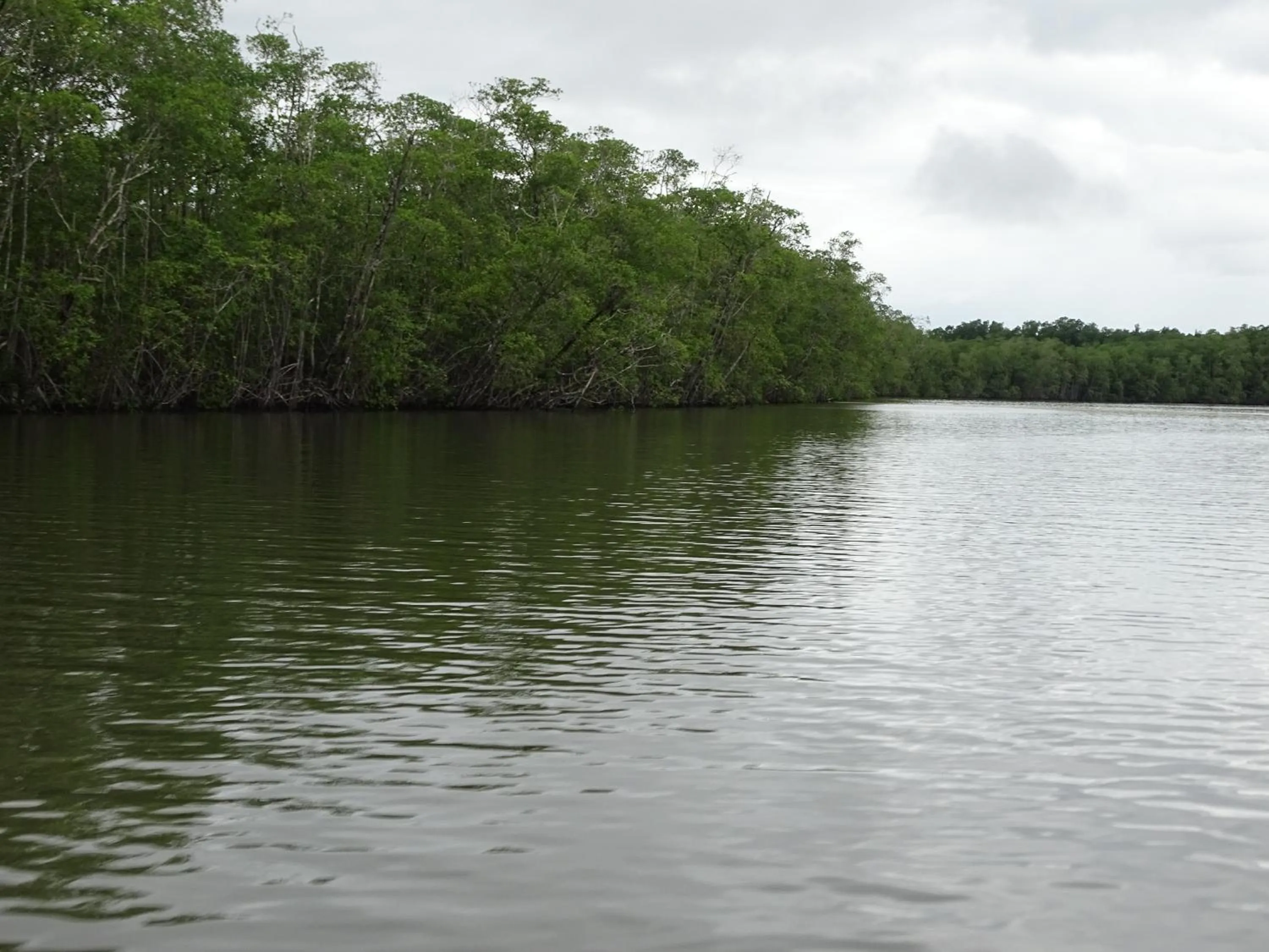 Location in Hostel Osa Tucan Drake