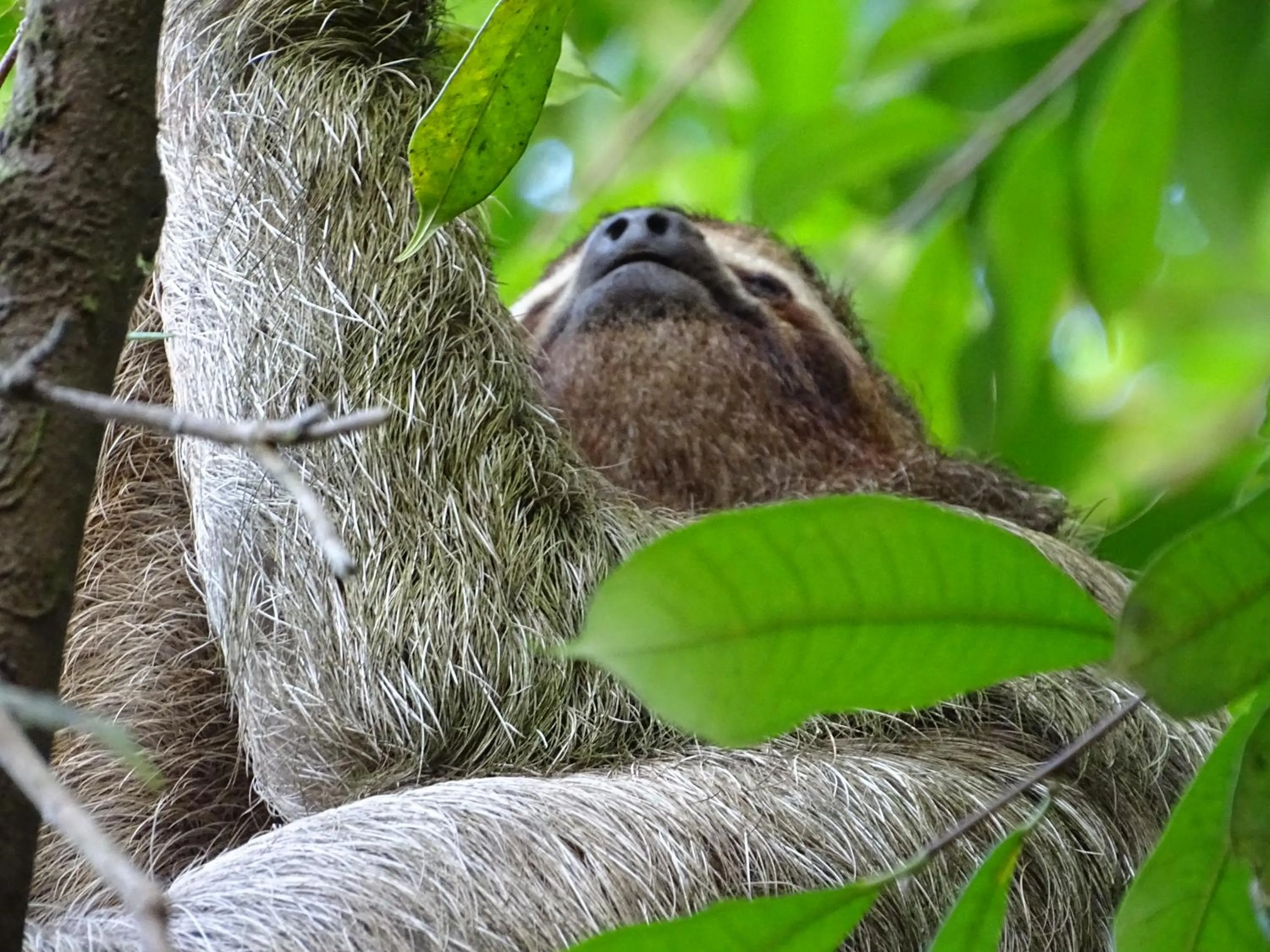 Off site in Hostel Osa Tucan Drake