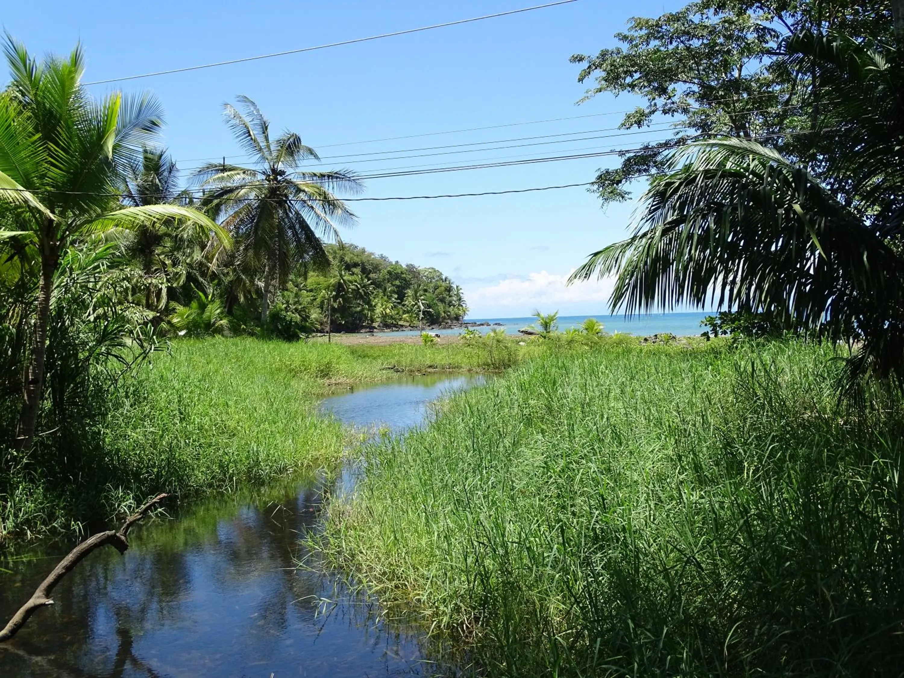 Other in Hostel Osa Tucan Drake