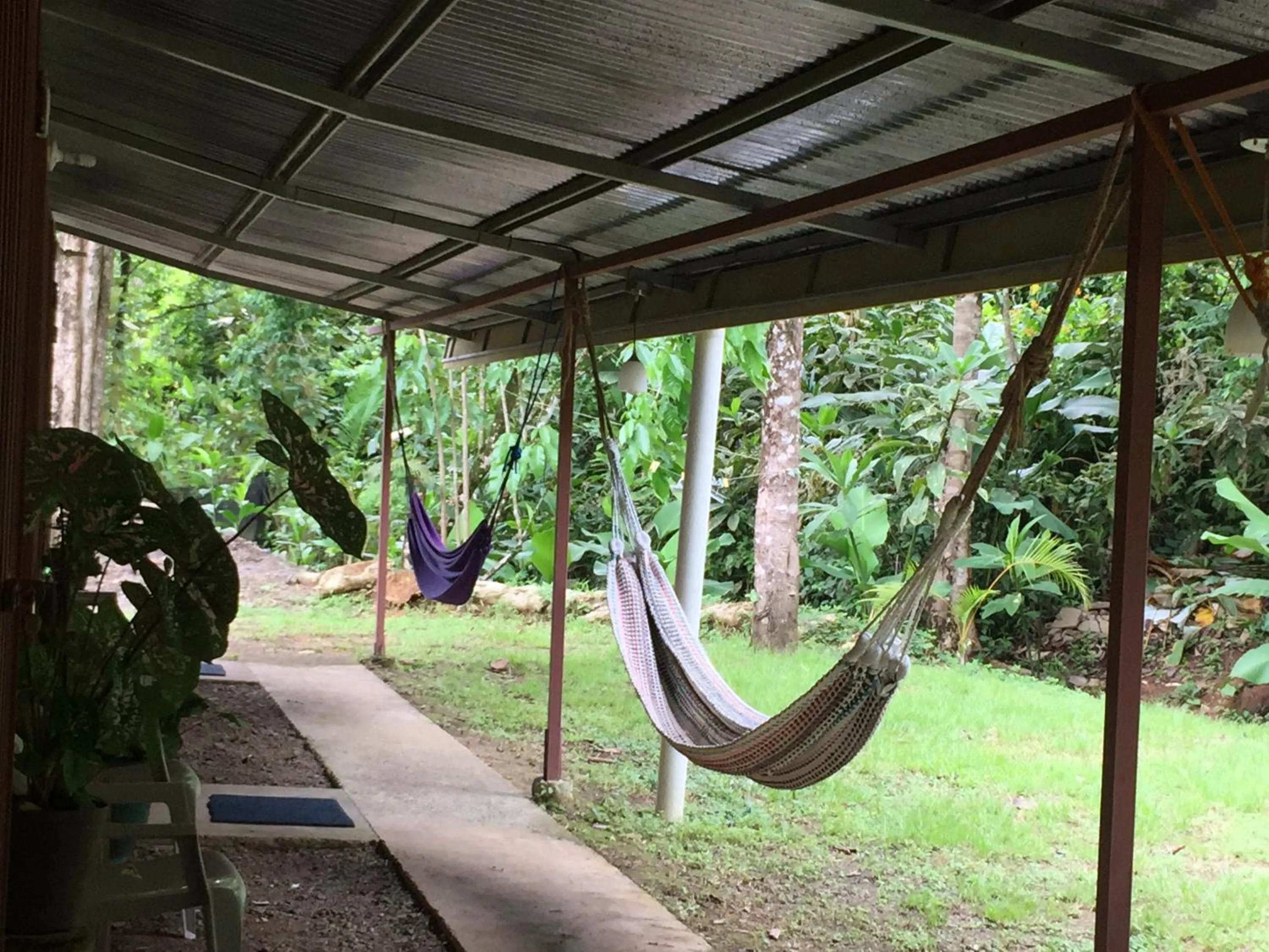 Property building in Hostel Osa Tucan Drake