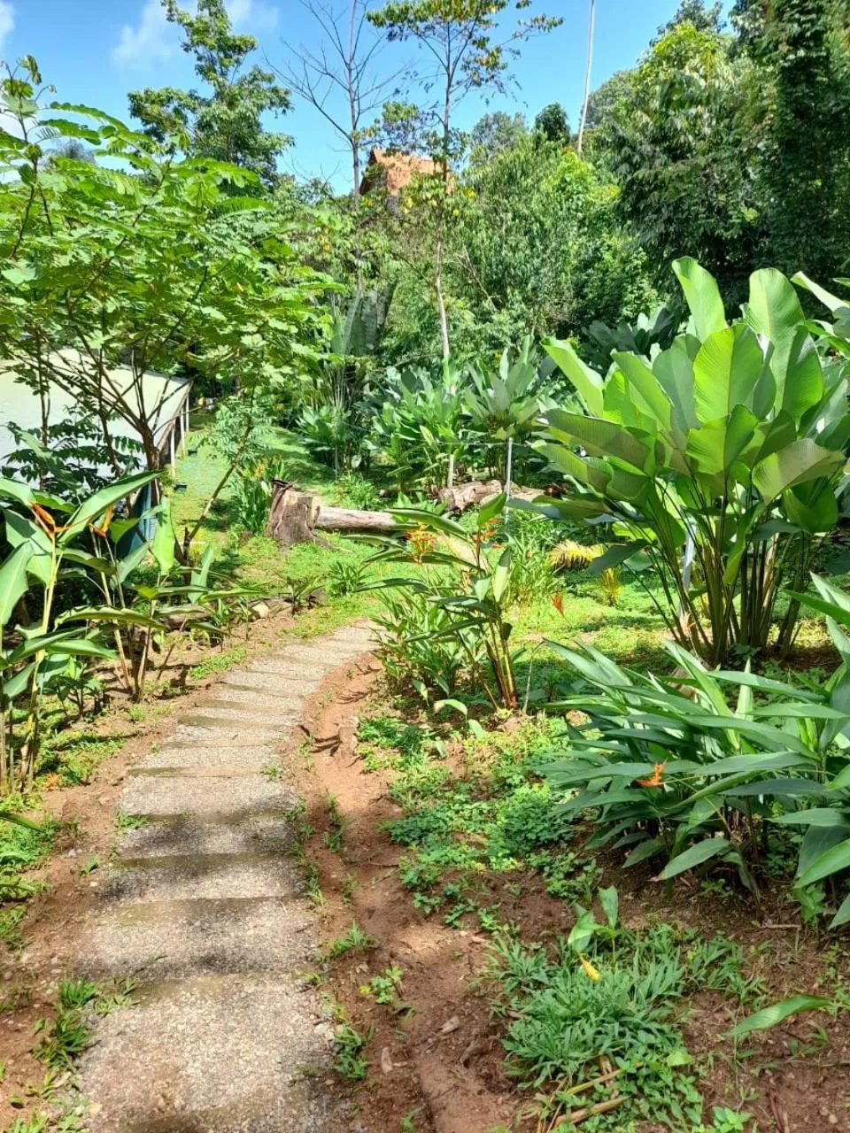 Natural landscape in Hostel Osa Tucan Drake