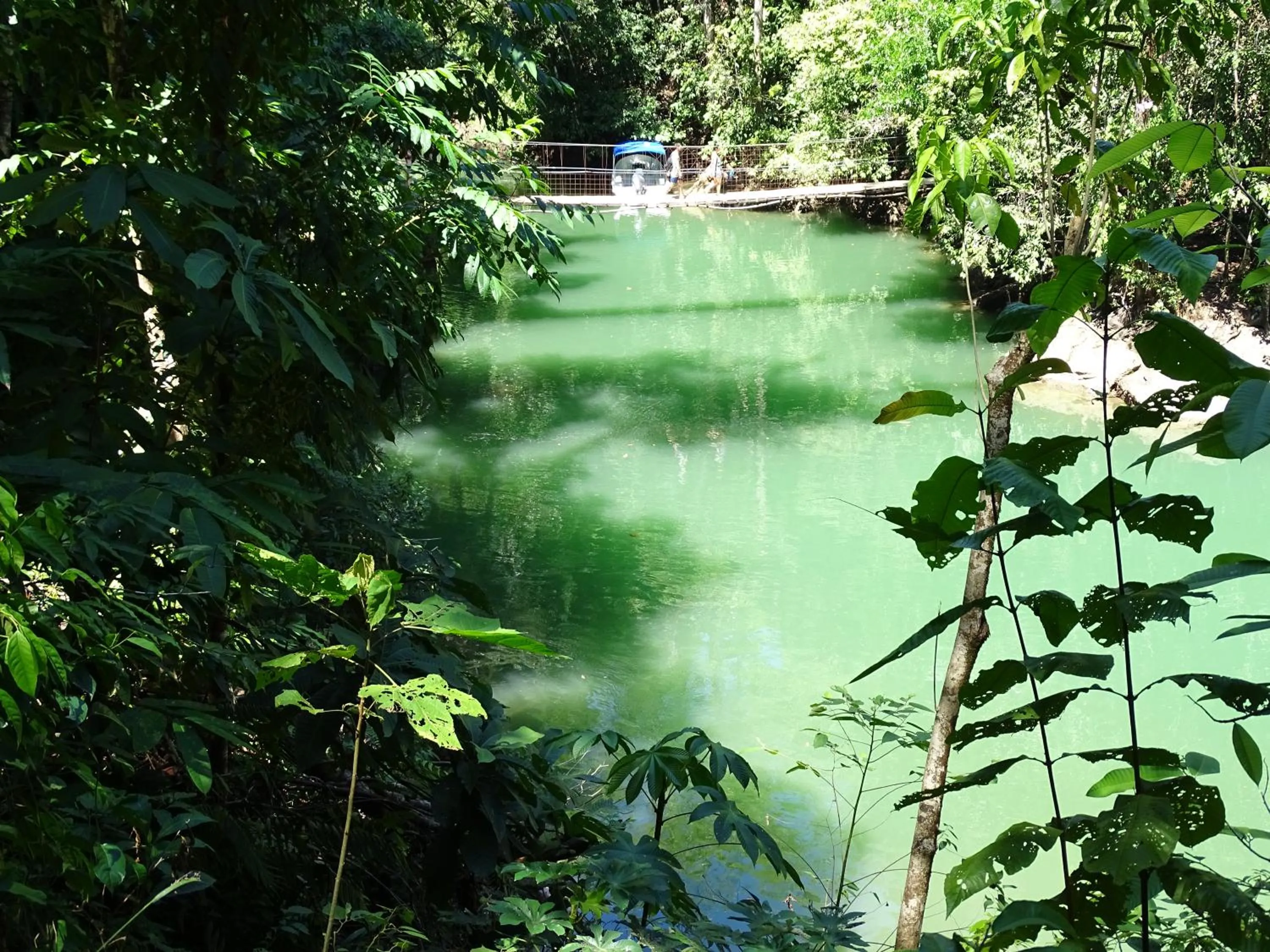 Other in Hostel Osa Tucan Drake