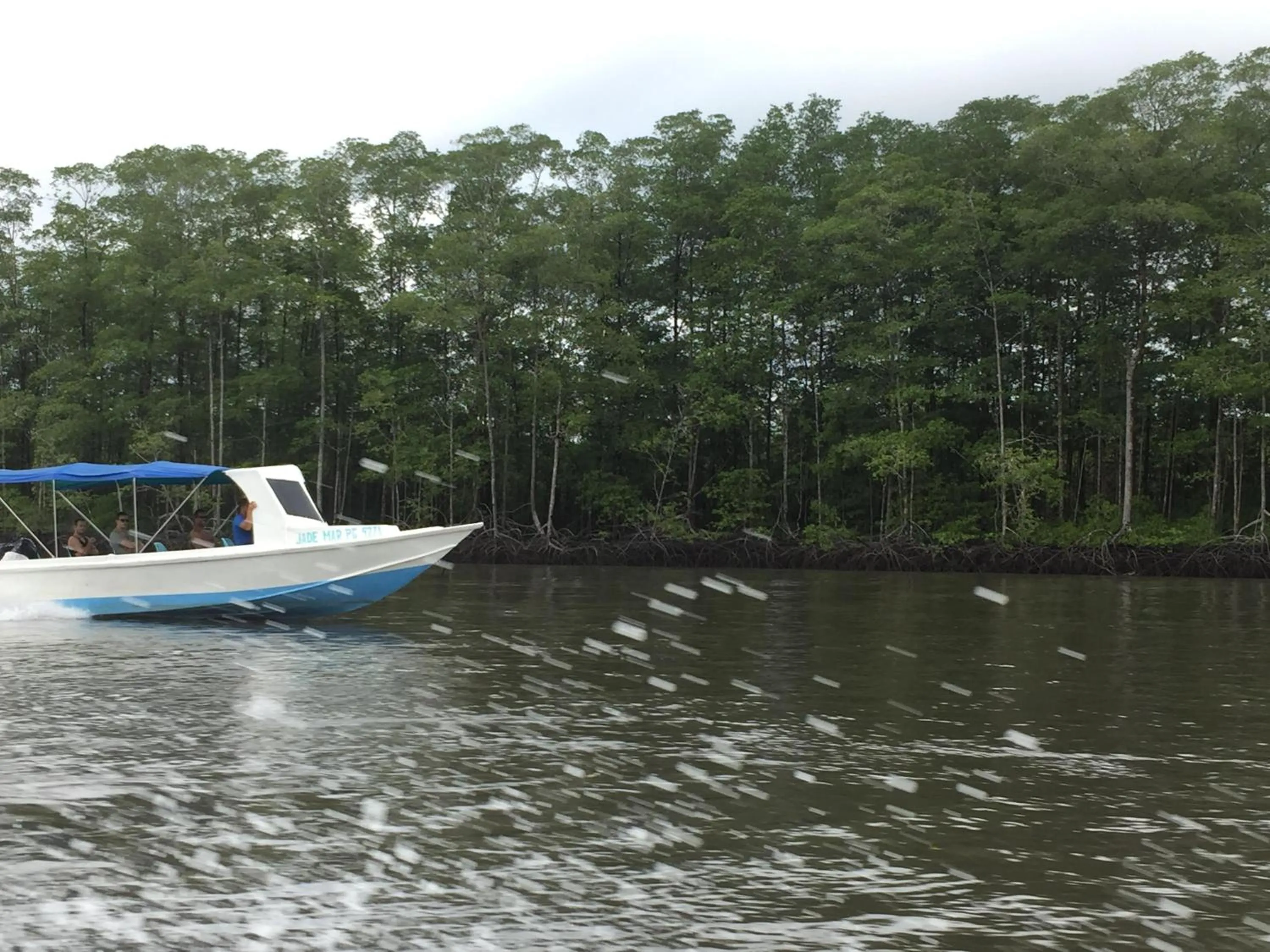 Off site in Hostel Osa Tucan Drake