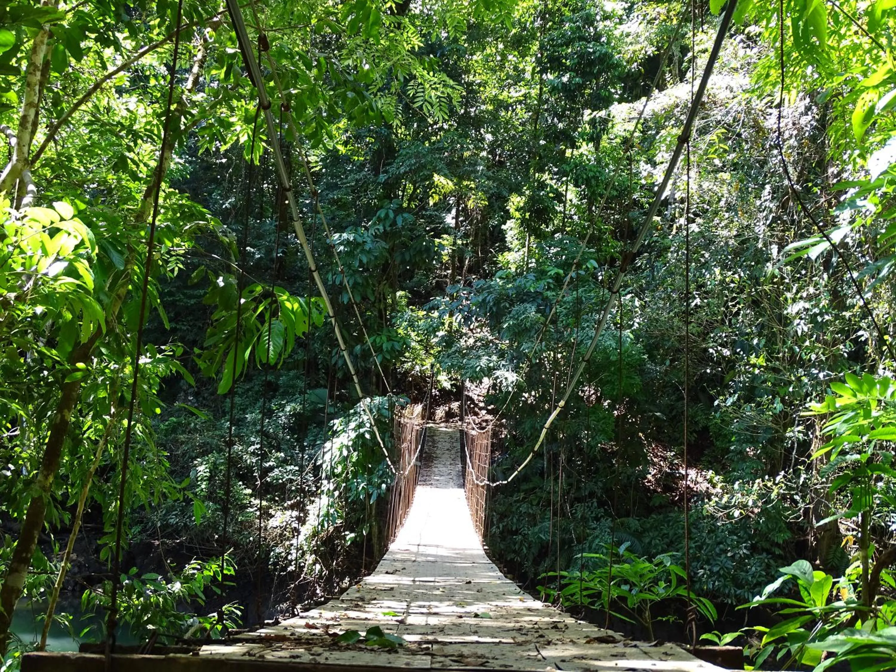 Other in Hostel Osa Tucan Drake