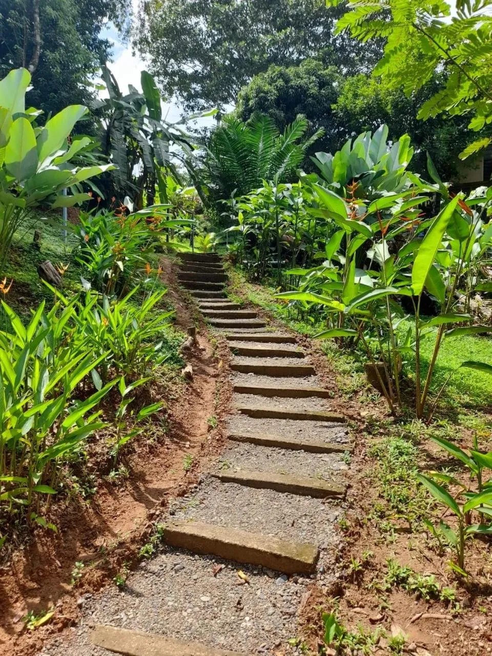 Natural landscape in Hostel Osa Tucan Drake