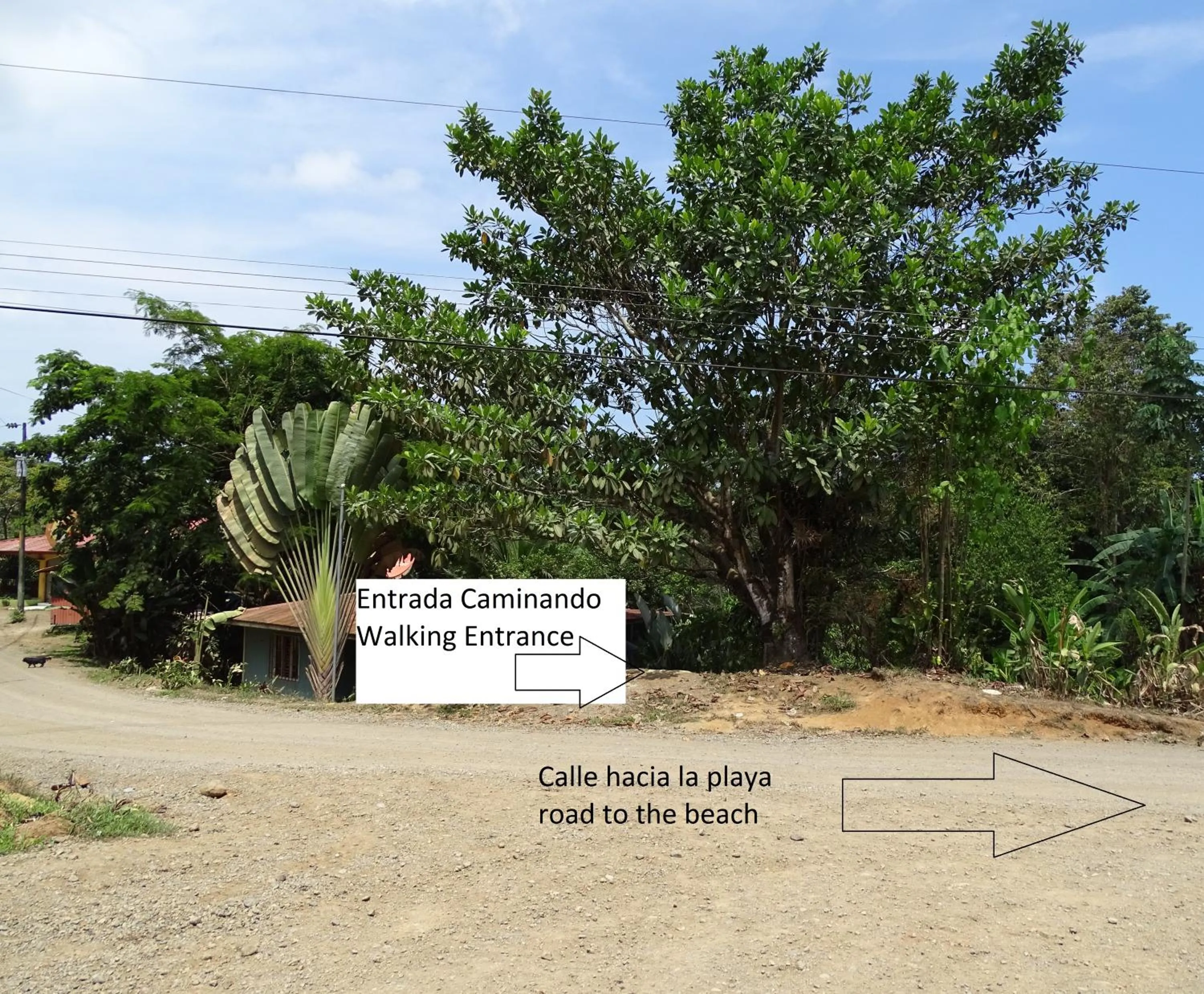 Location in Hostel Osa Tucan Drake