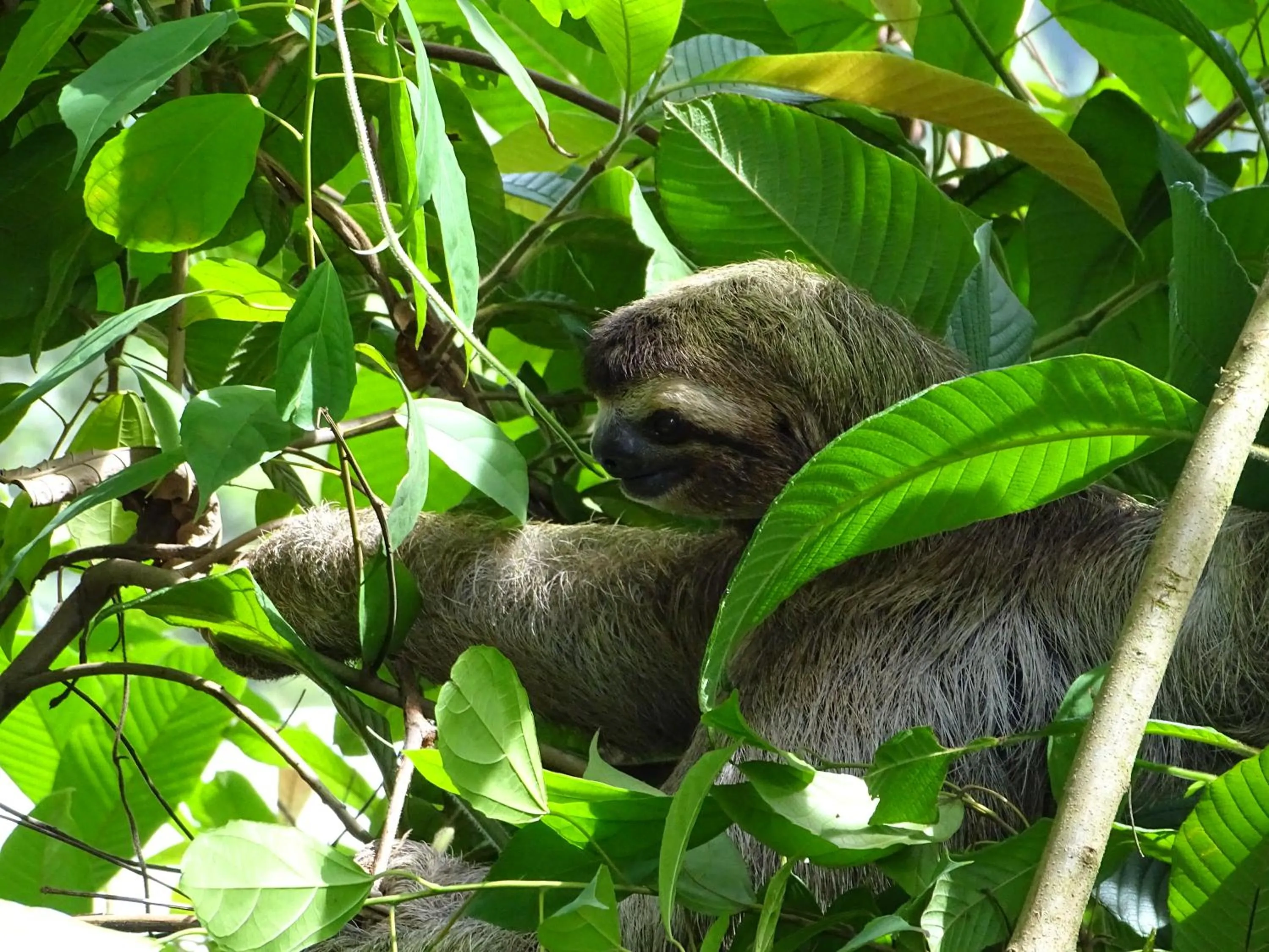 Off site in Hostel Osa Tucan Drake