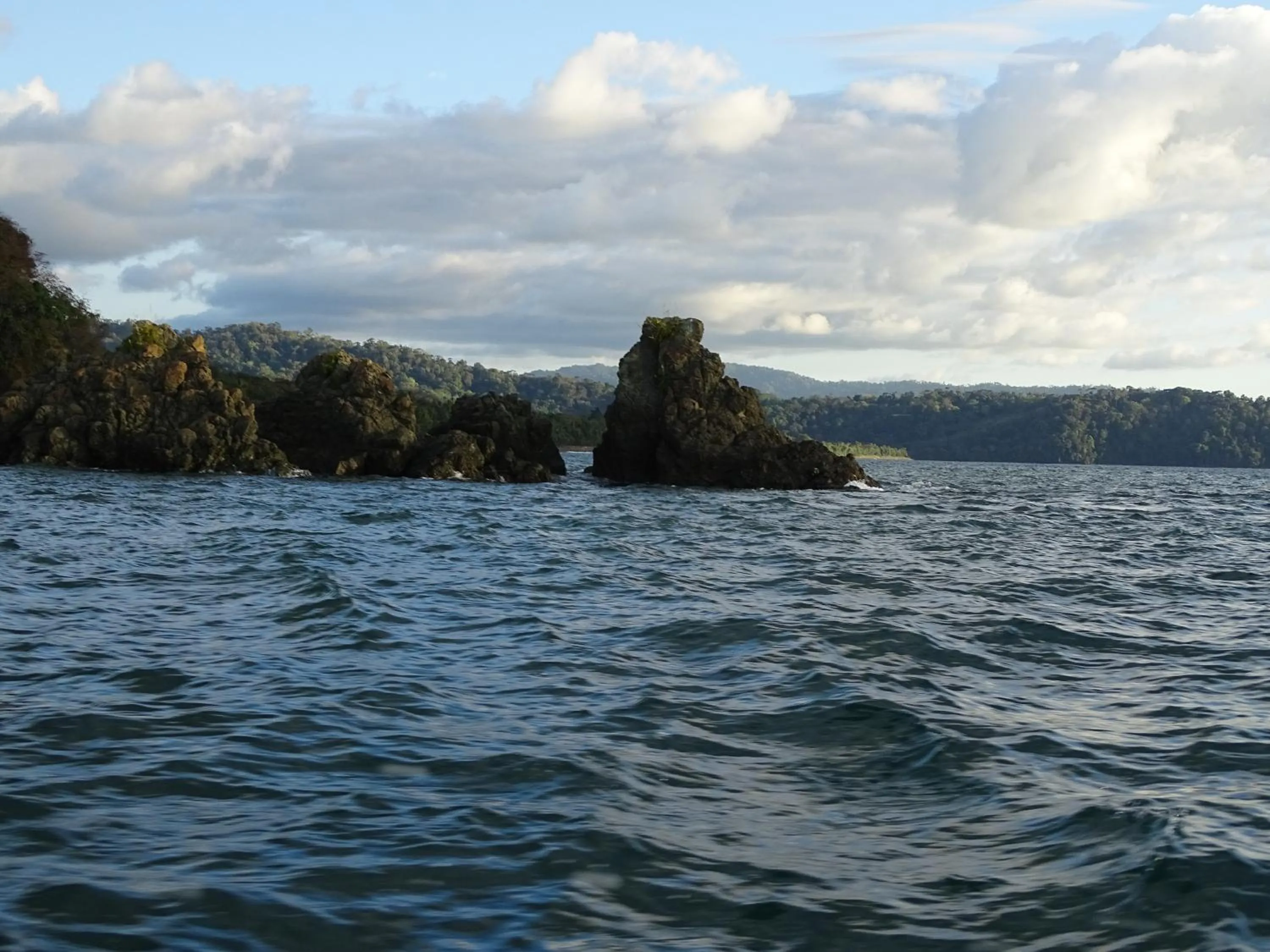 Other in Hostel Osa Tucan Drake