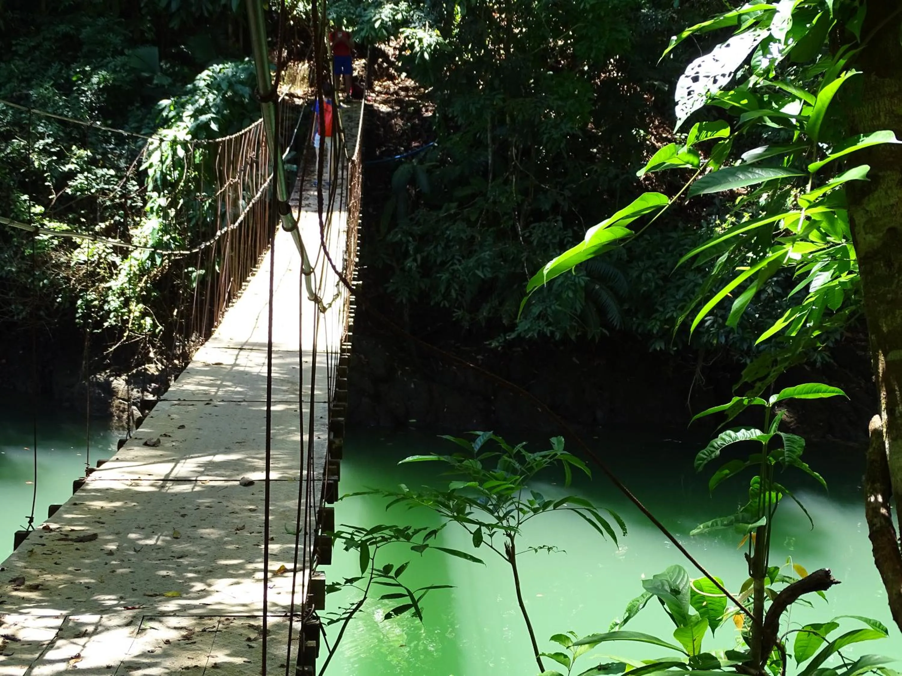 Other in Hostel Osa Tucan Drake