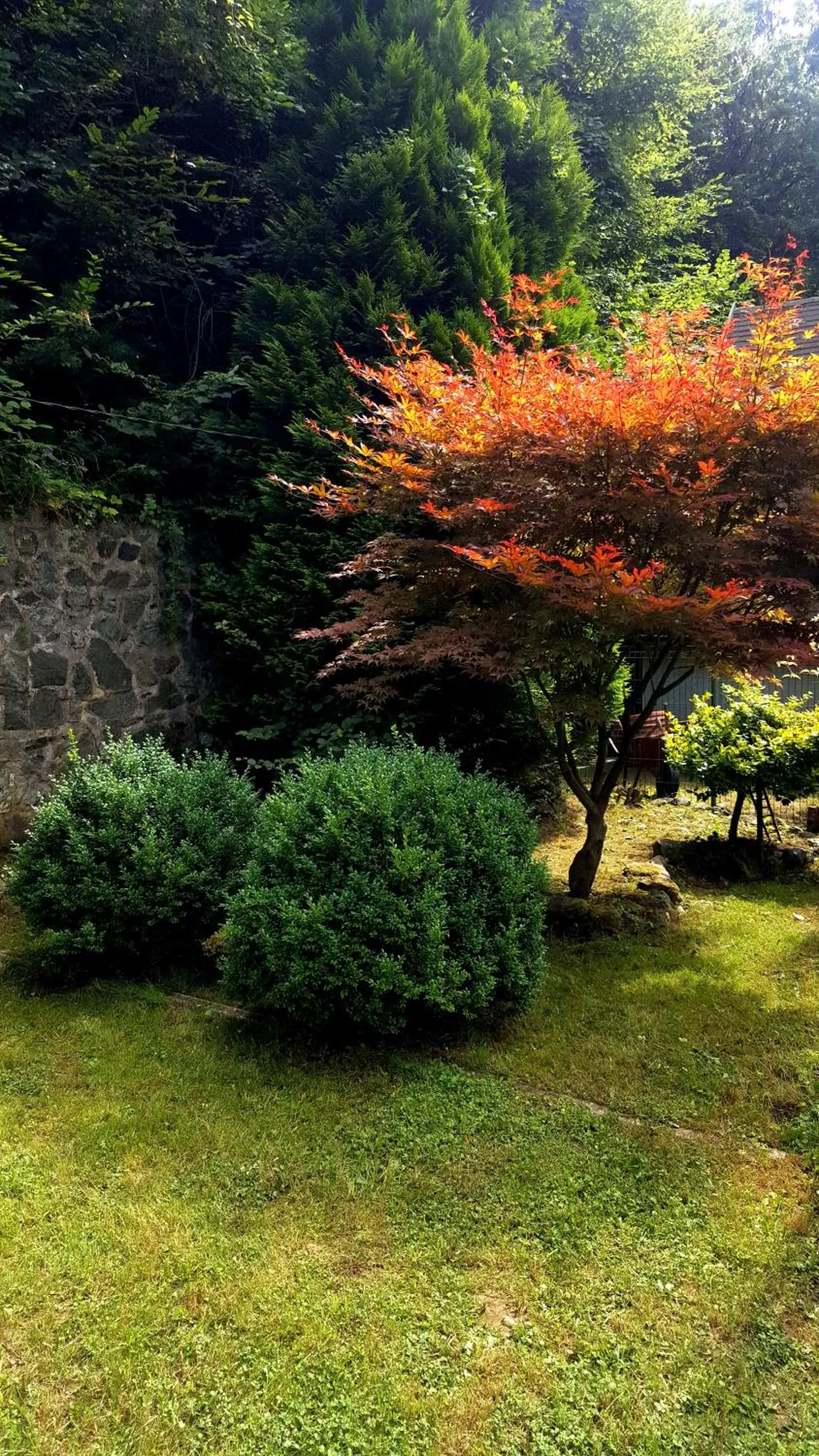 Garden in Holiday Home Oaza Mira