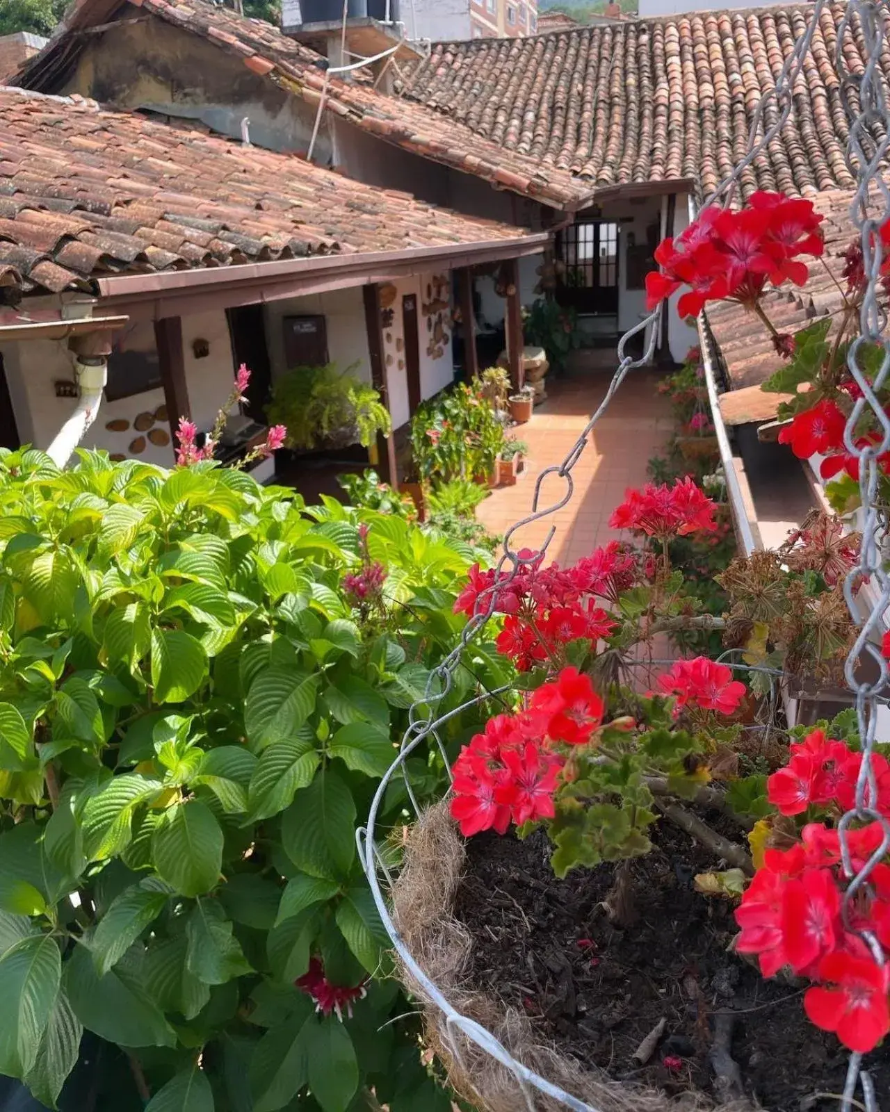 Hotel Casa Posada Don Chepe Hotel Casa Posada Don Chepe