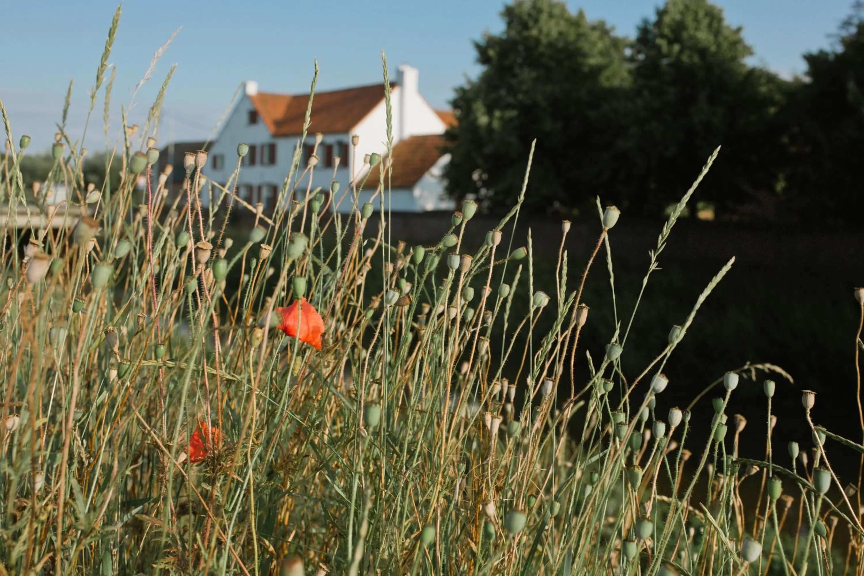 B&B Hullebrug